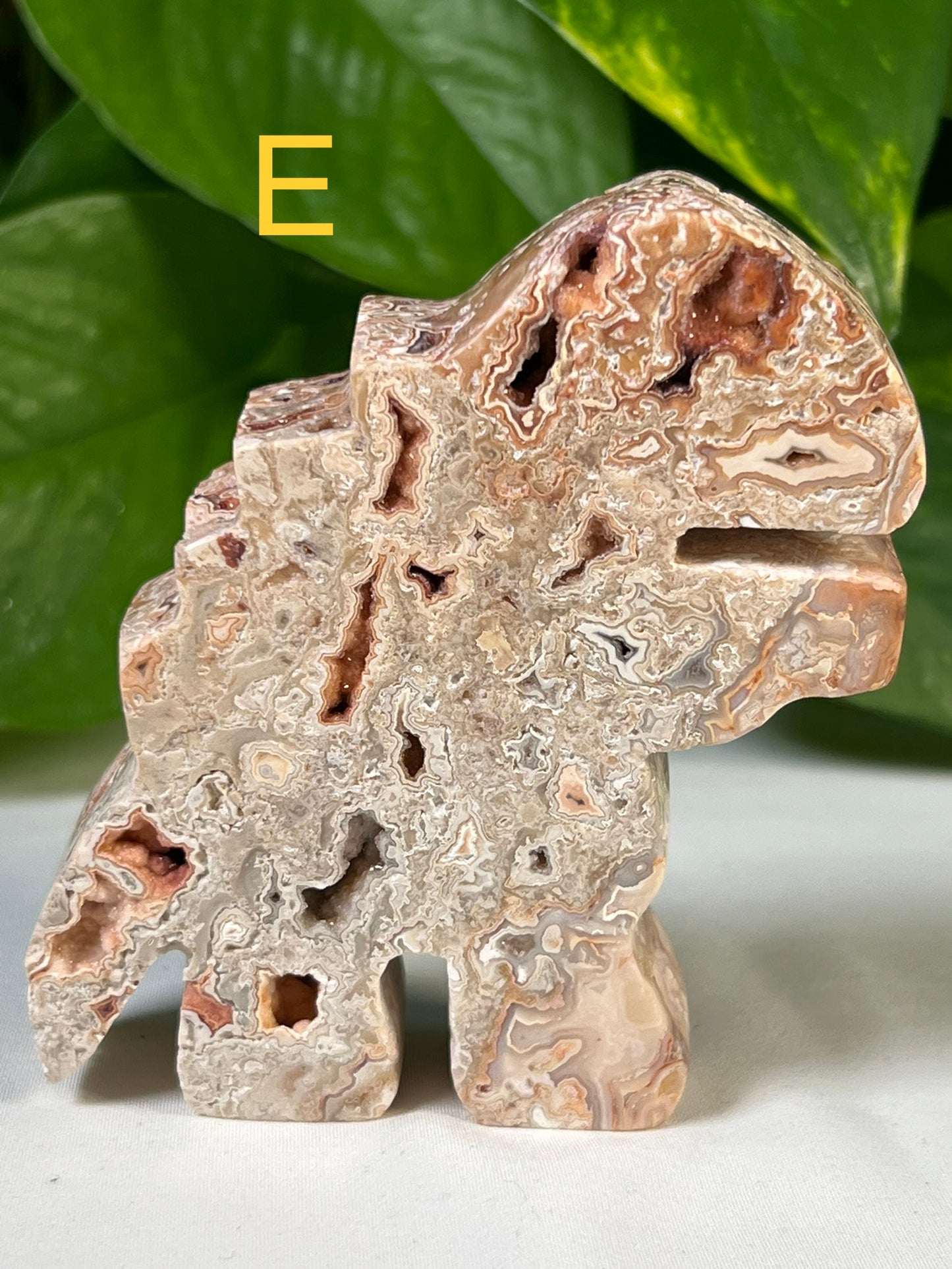 Crazy Lace Agate Godzilla