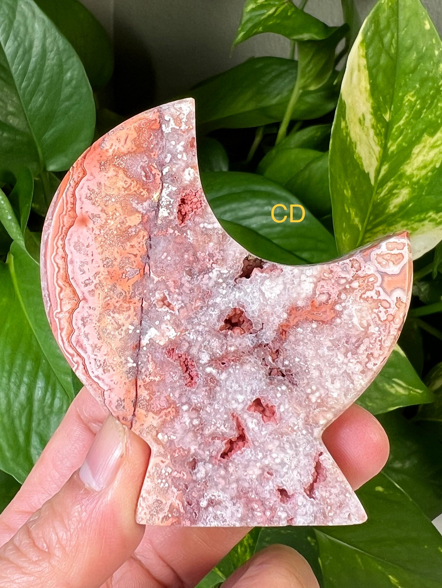 Crazy Lace Agate Moons