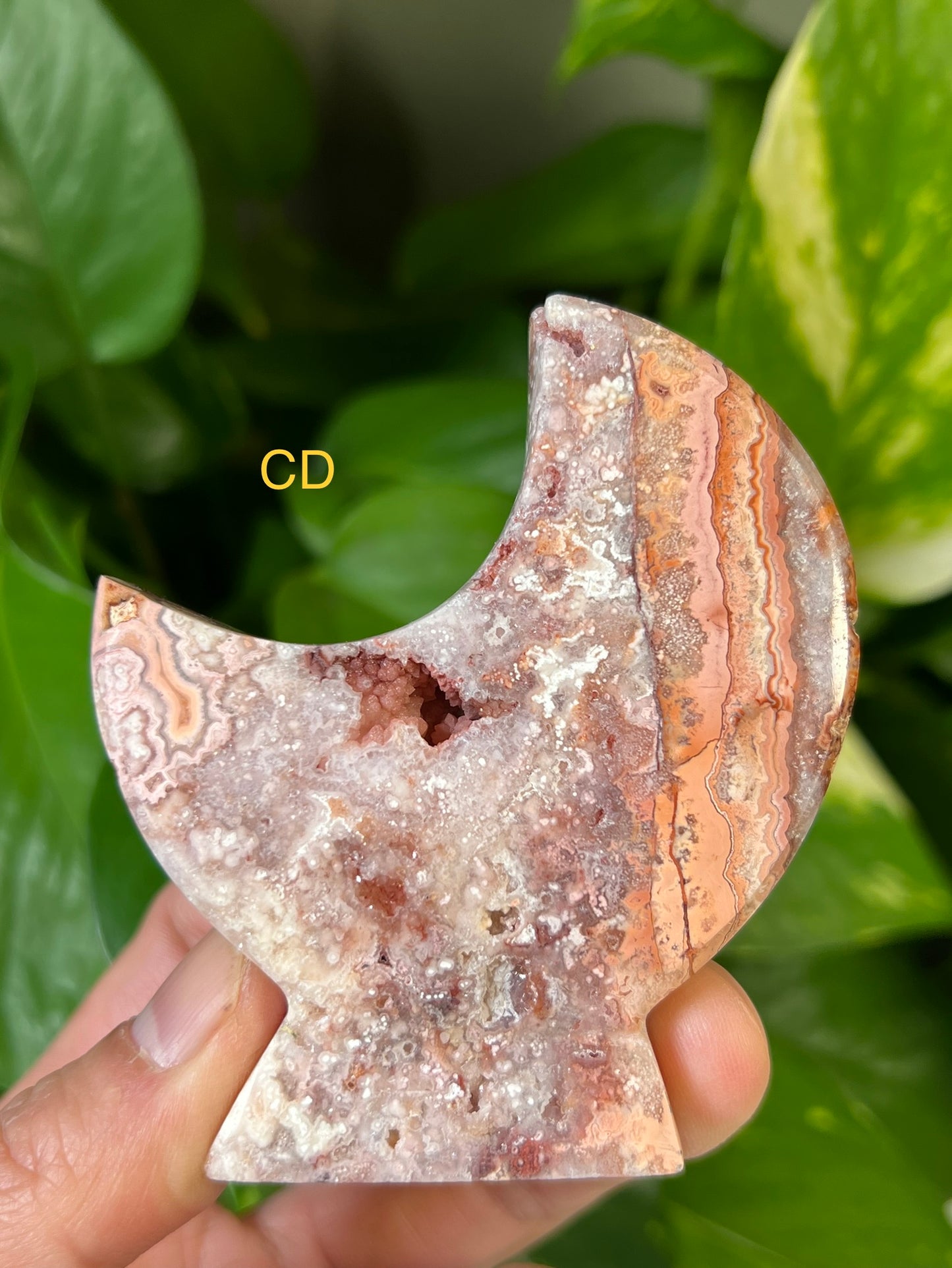 Crazy Lace Agate Moons