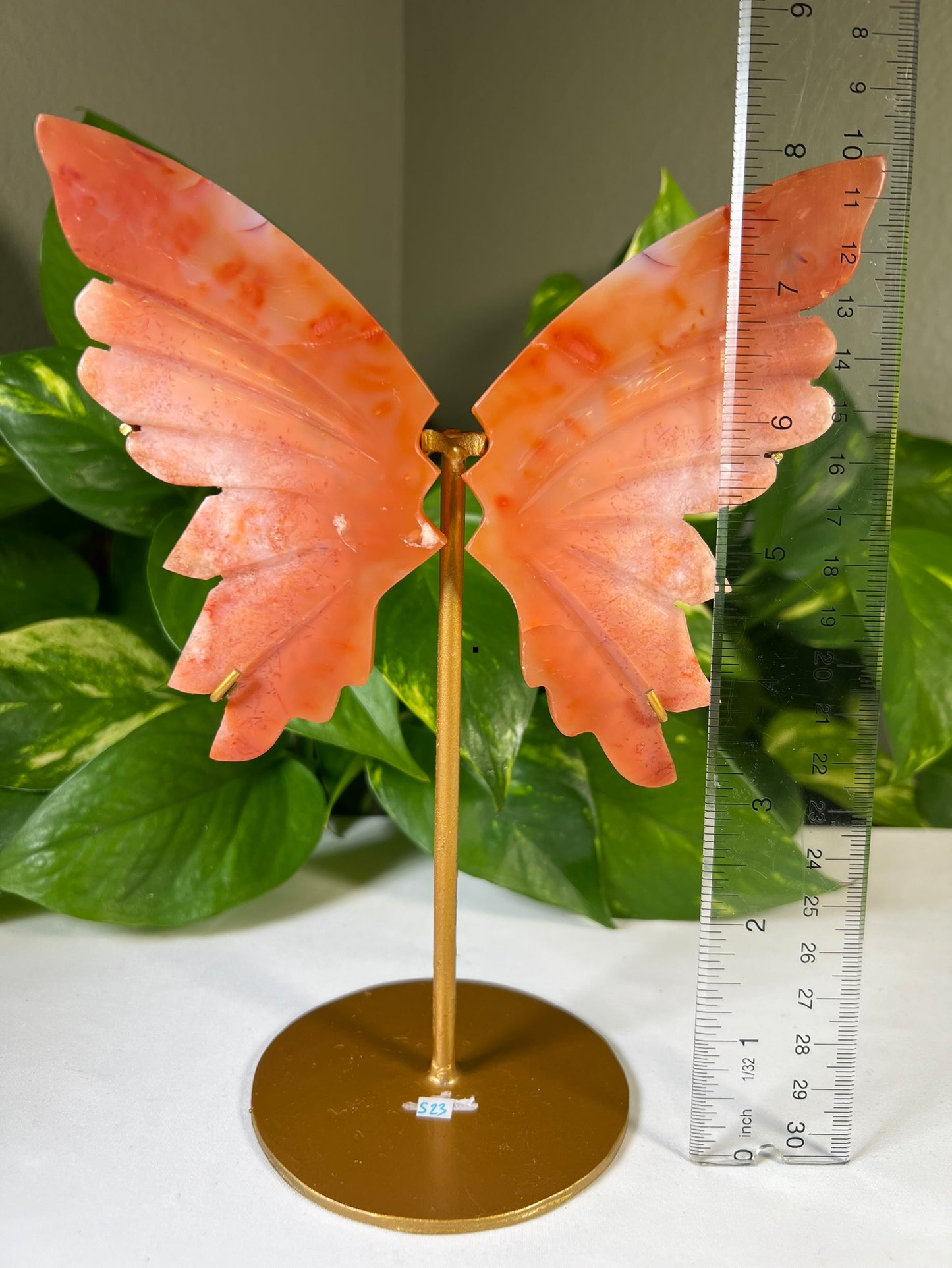 Carnelian Wings