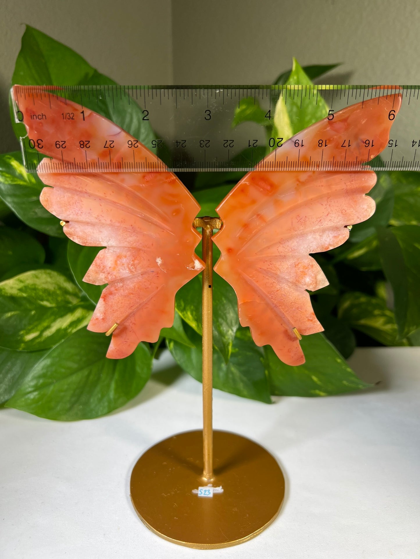 Carnelian Wings