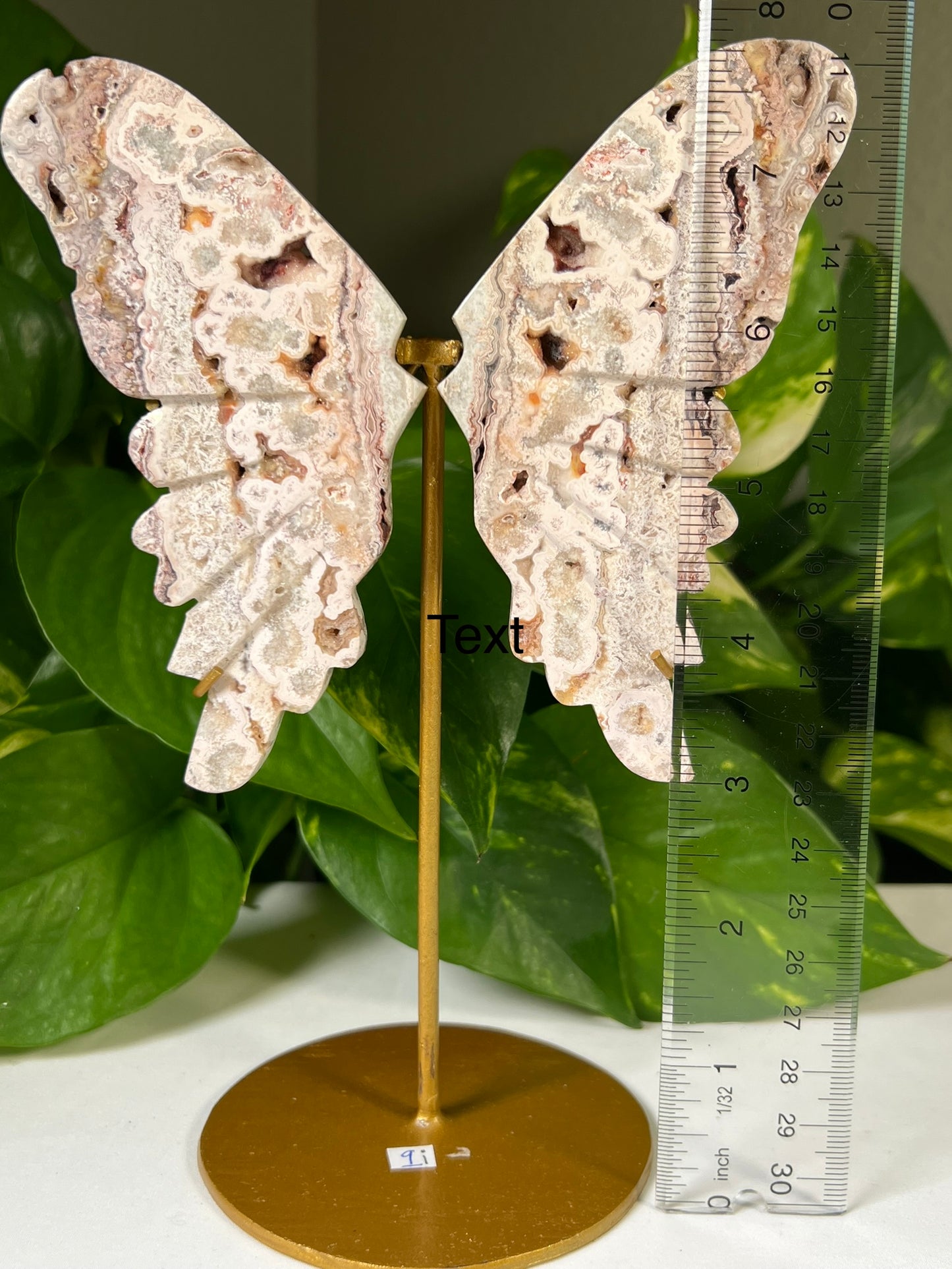 Crazy Lace Agate Wings