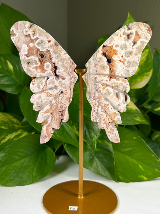 Crazy Lace Agate Wings