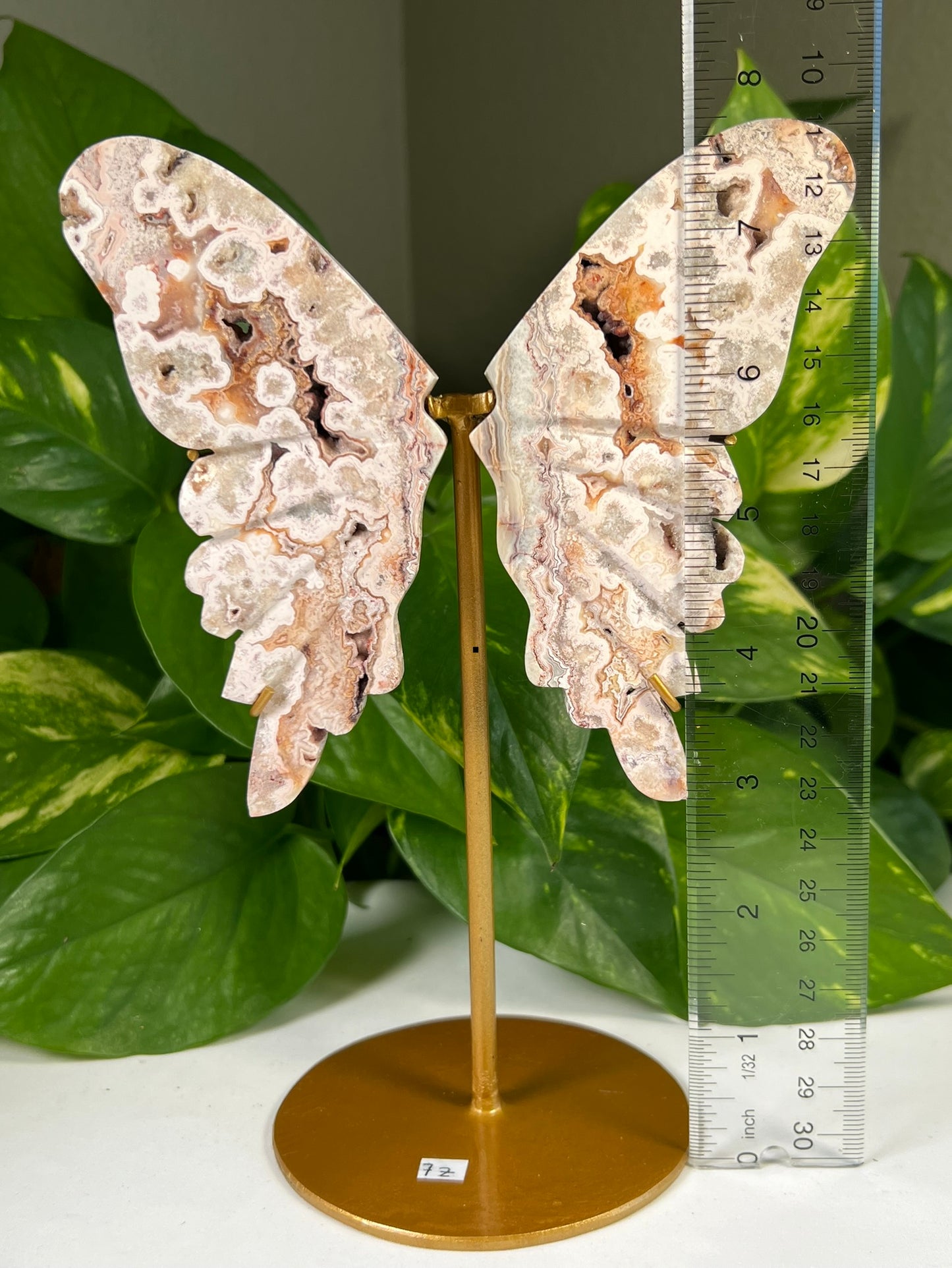 Crazy Lace Agate Wings