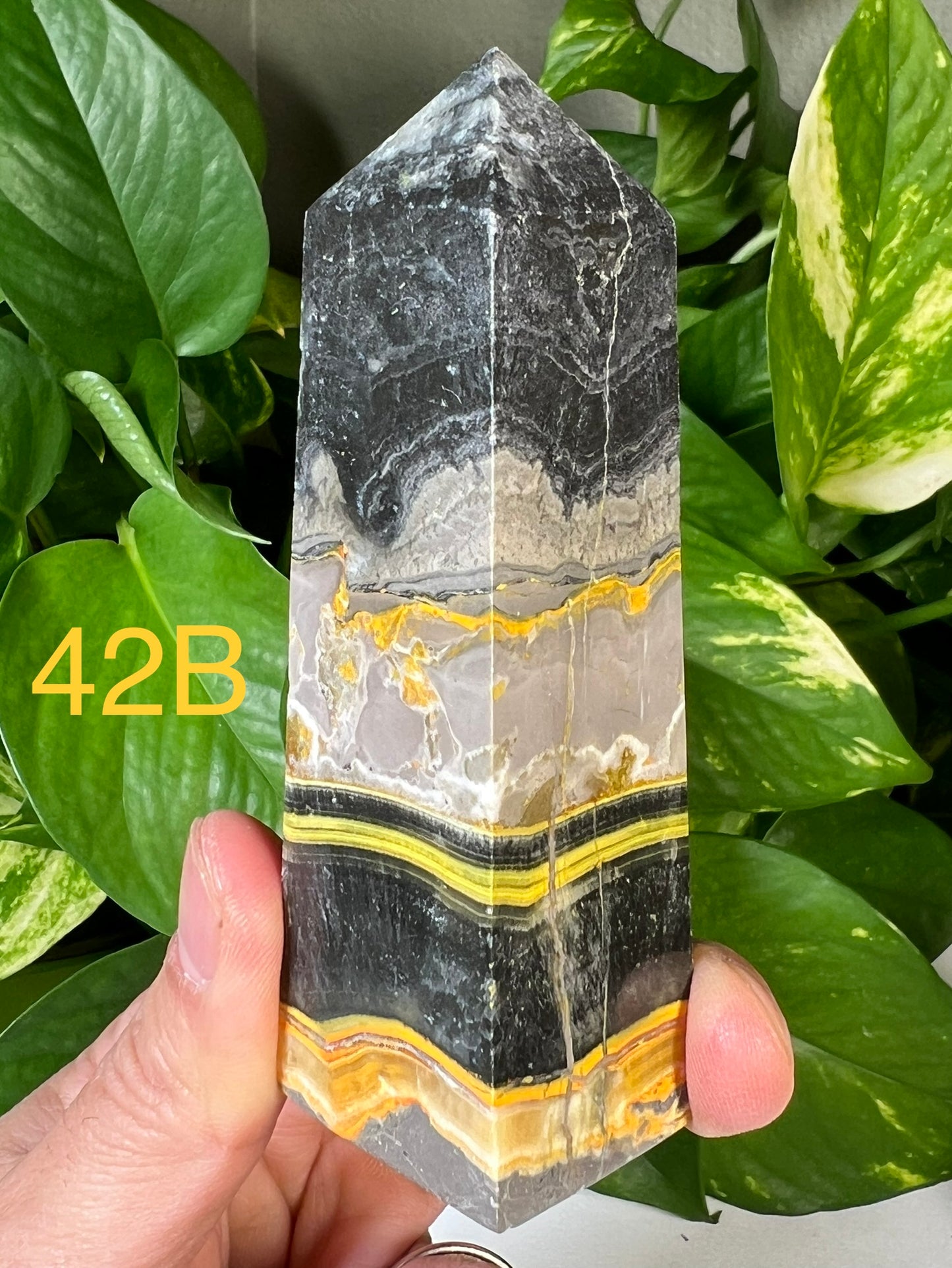 Bumblebee Jasper Towers