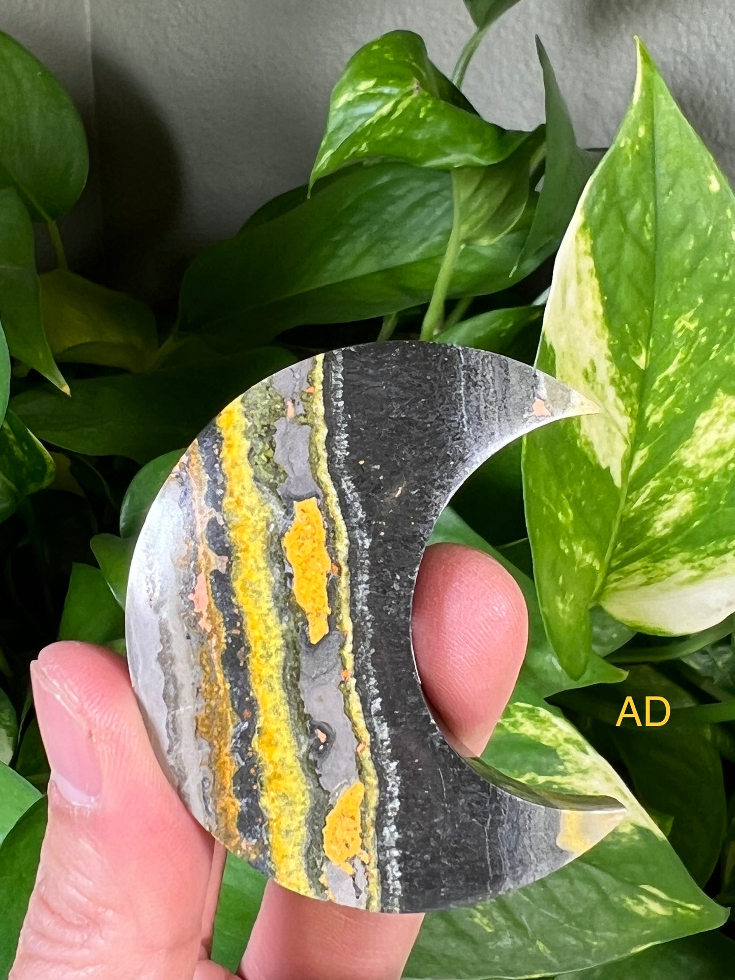 Bumblebee Jasper Moons