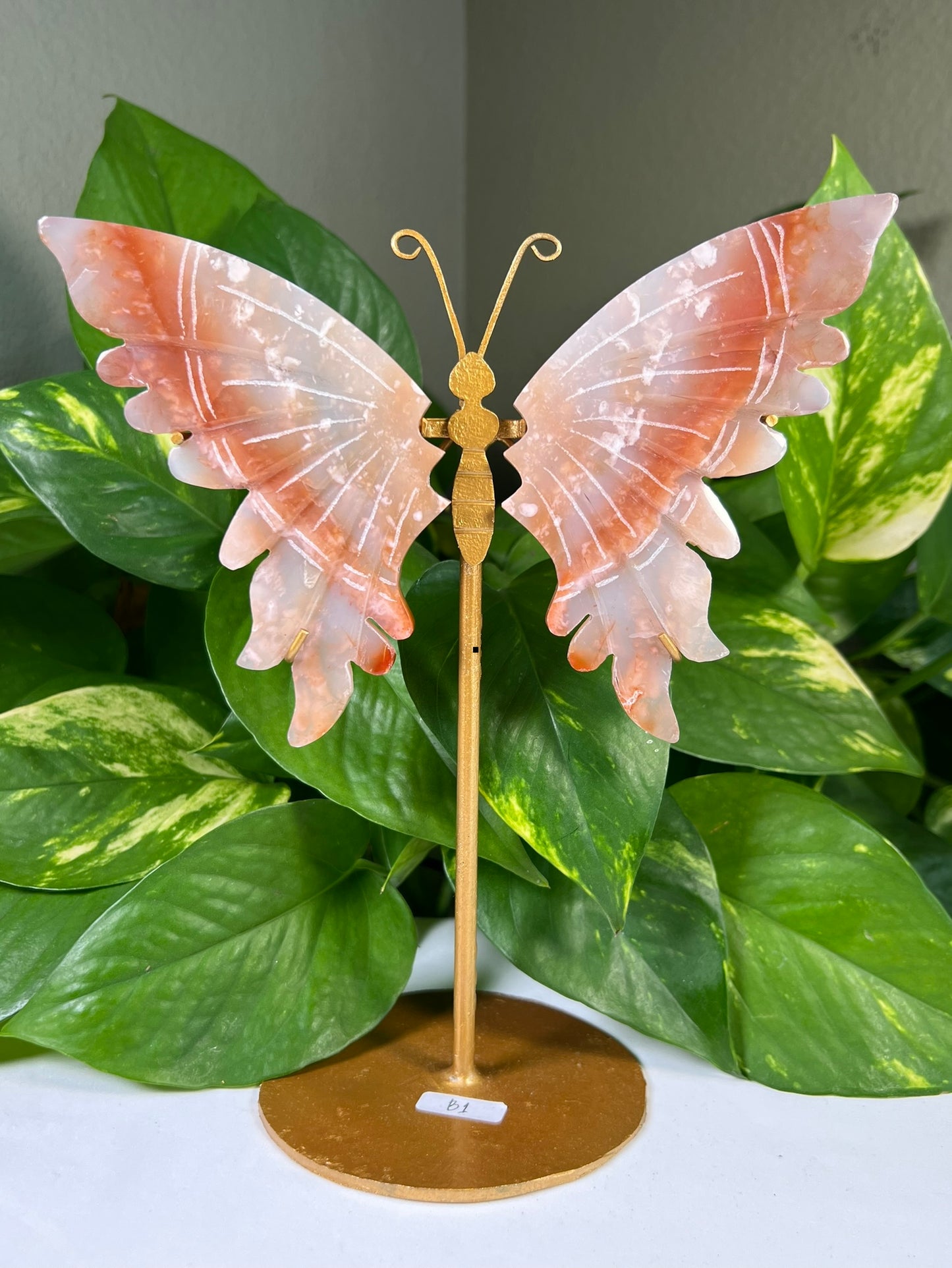 Red Carnelian Flower Agate Wings