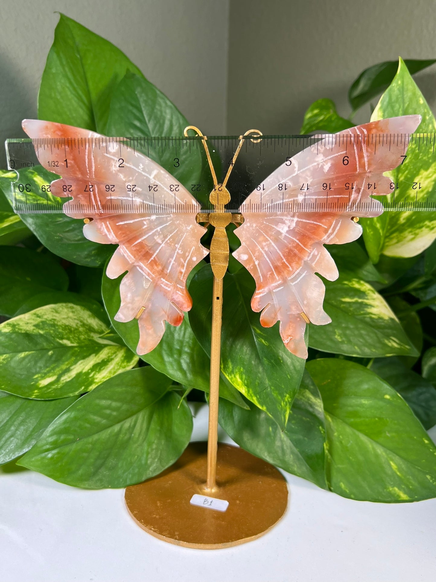 Red Carnelian Flower Agate Wings