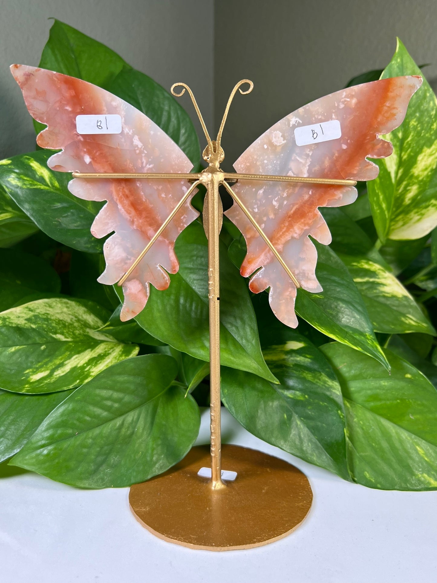 Red Carnelian Flower Agate Wings