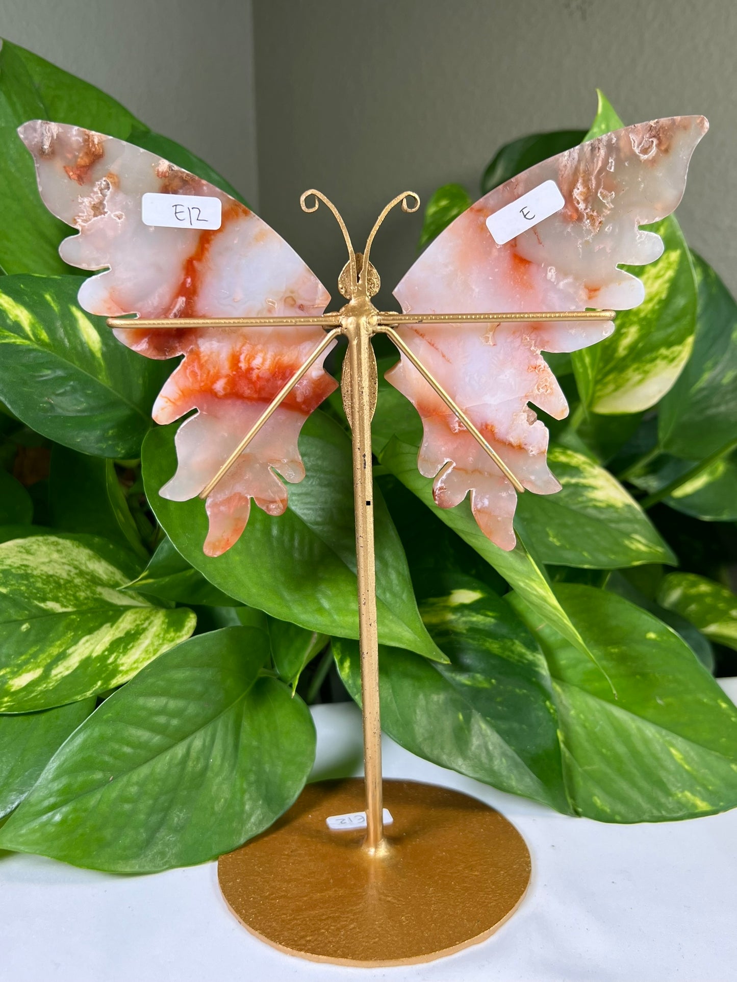 Red Carnelian Flower Agate Wings