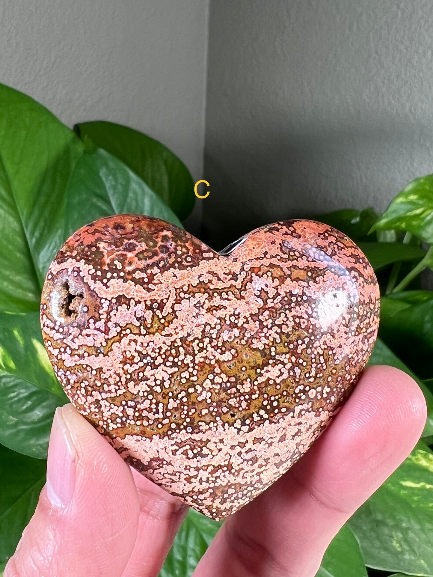 Ocean Jasper Hearts