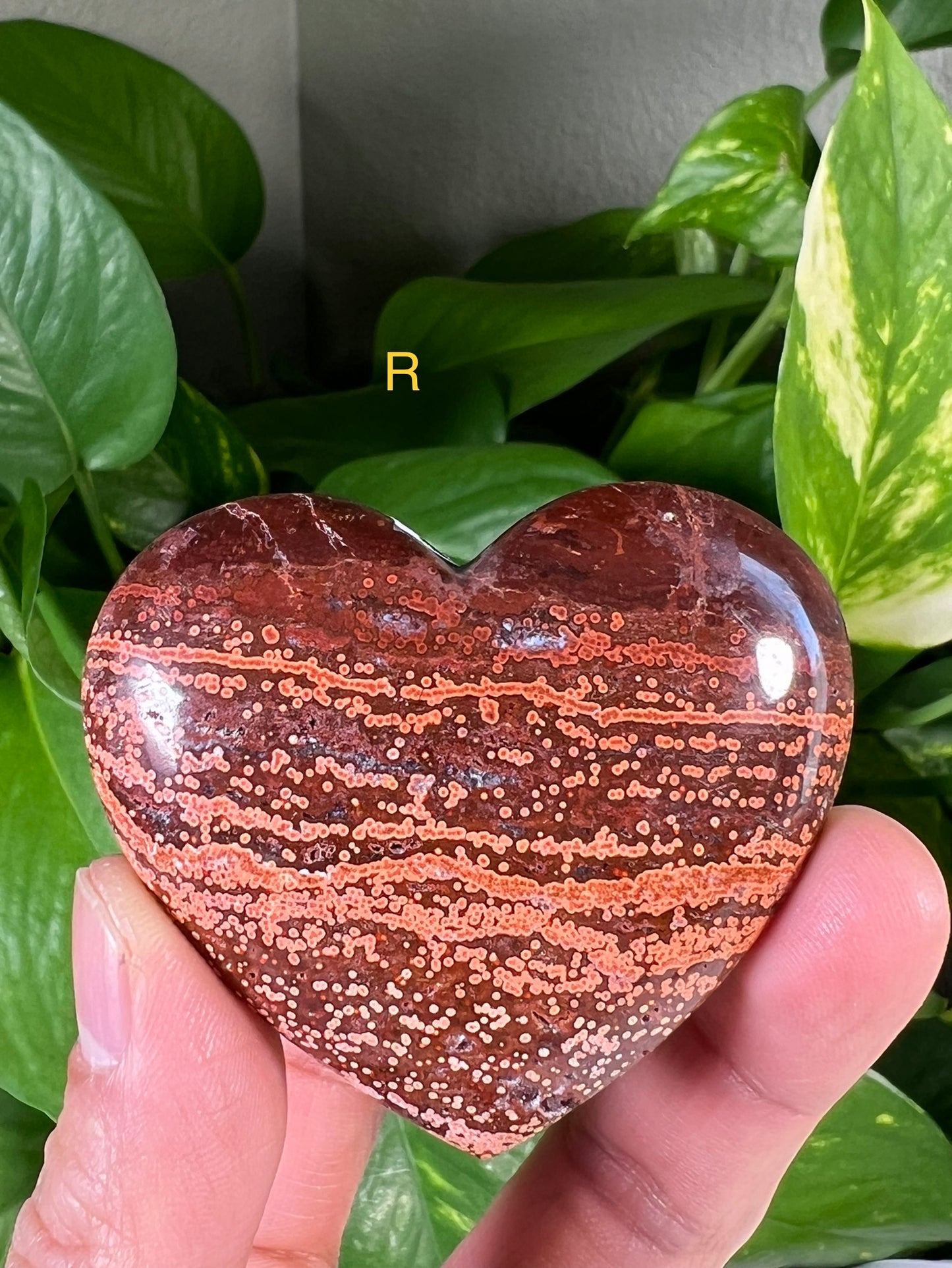 Ocean Jasper Hearts