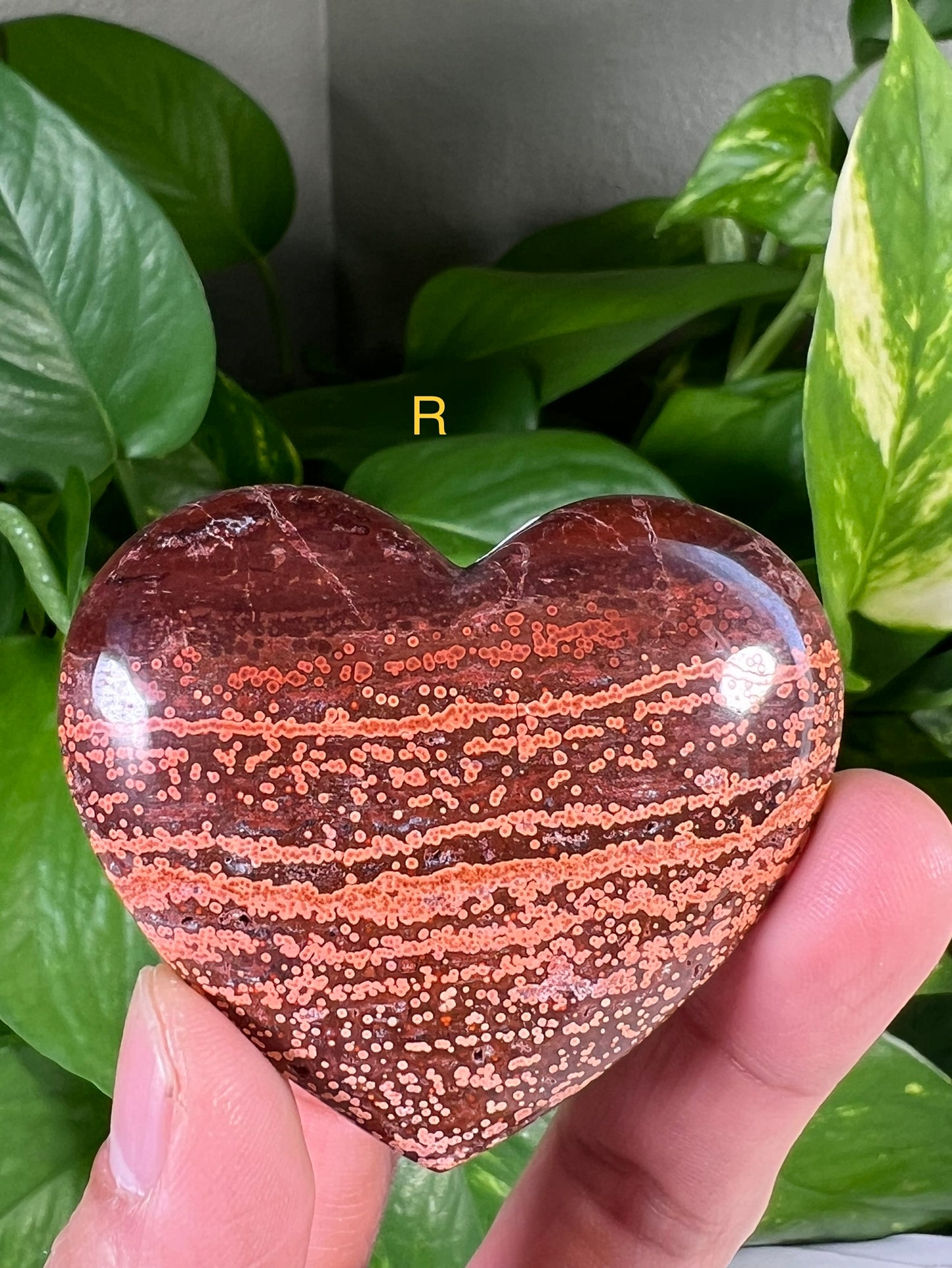 Ocean Jasper Hearts