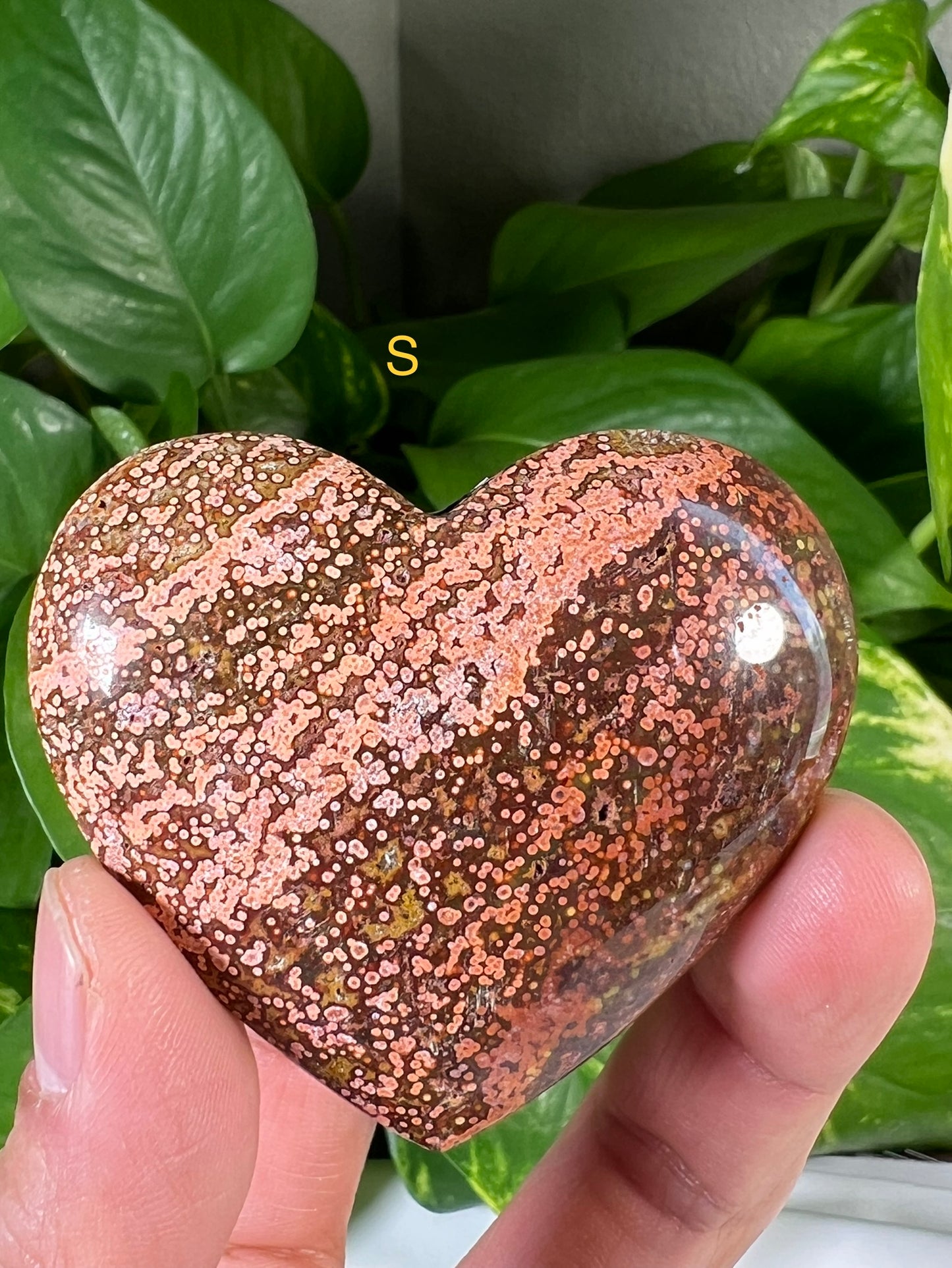 Ocean Jasper Hearts