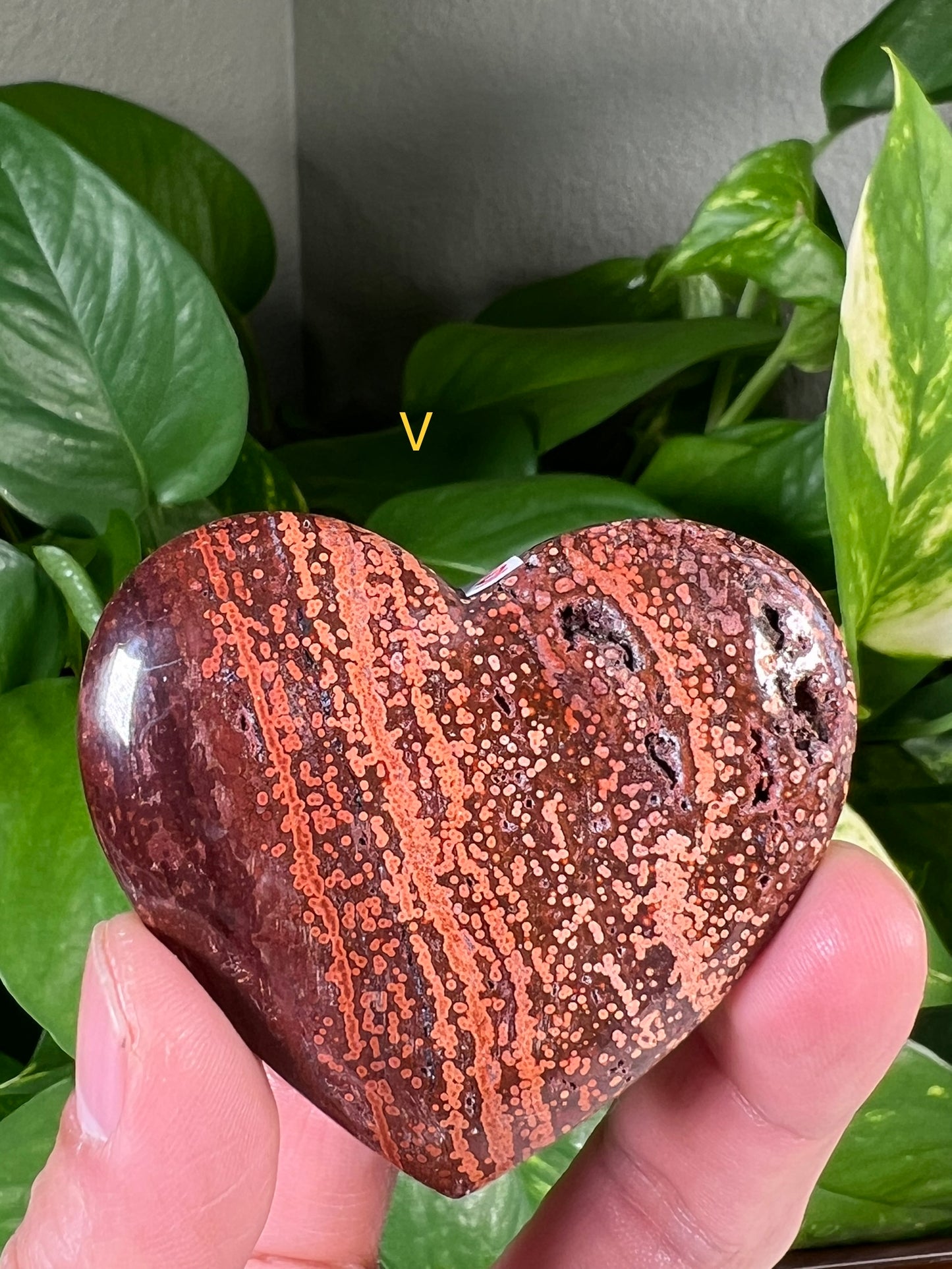 Ocean Jasper Hearts