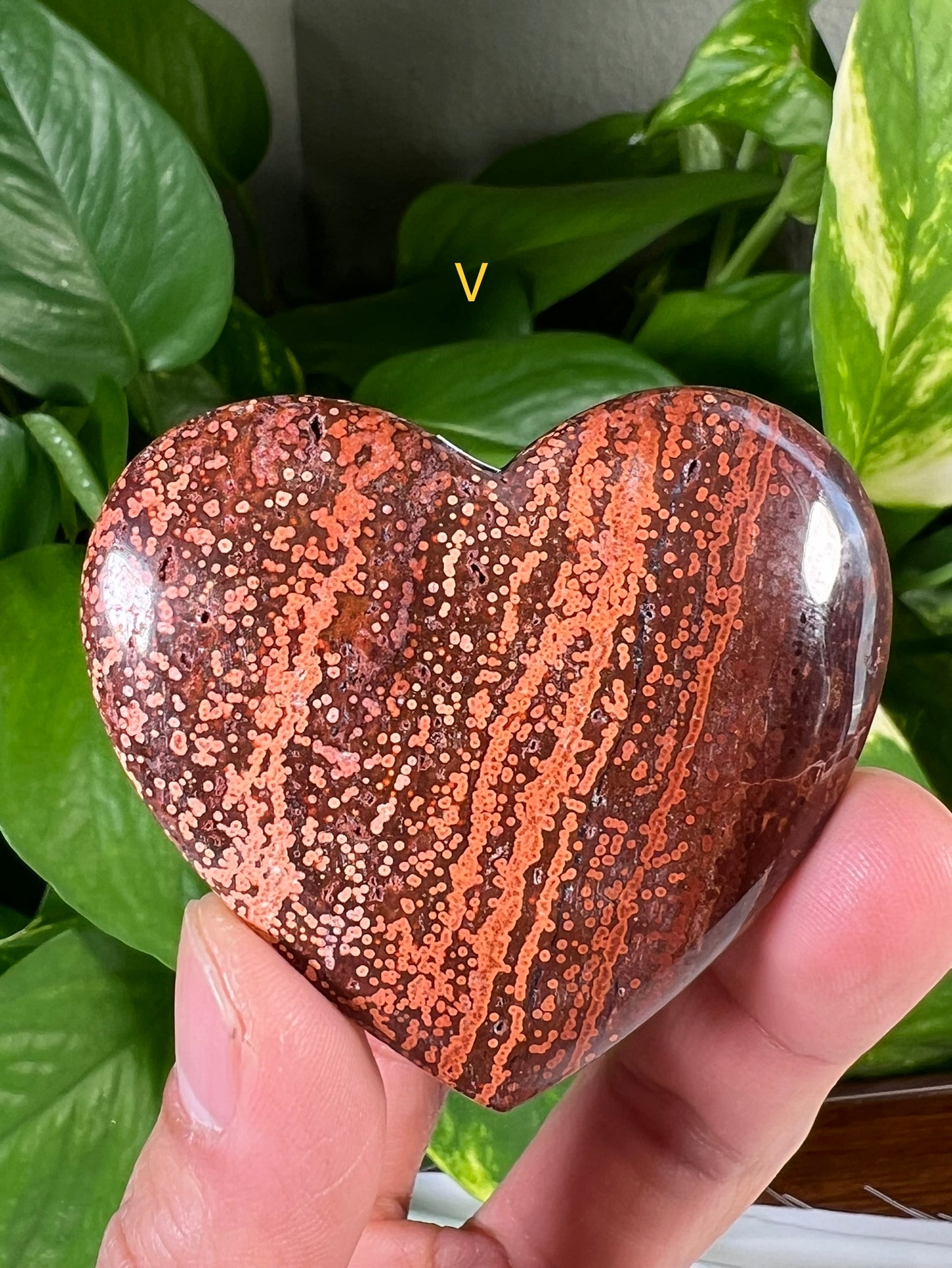 Ocean Jasper Hearts