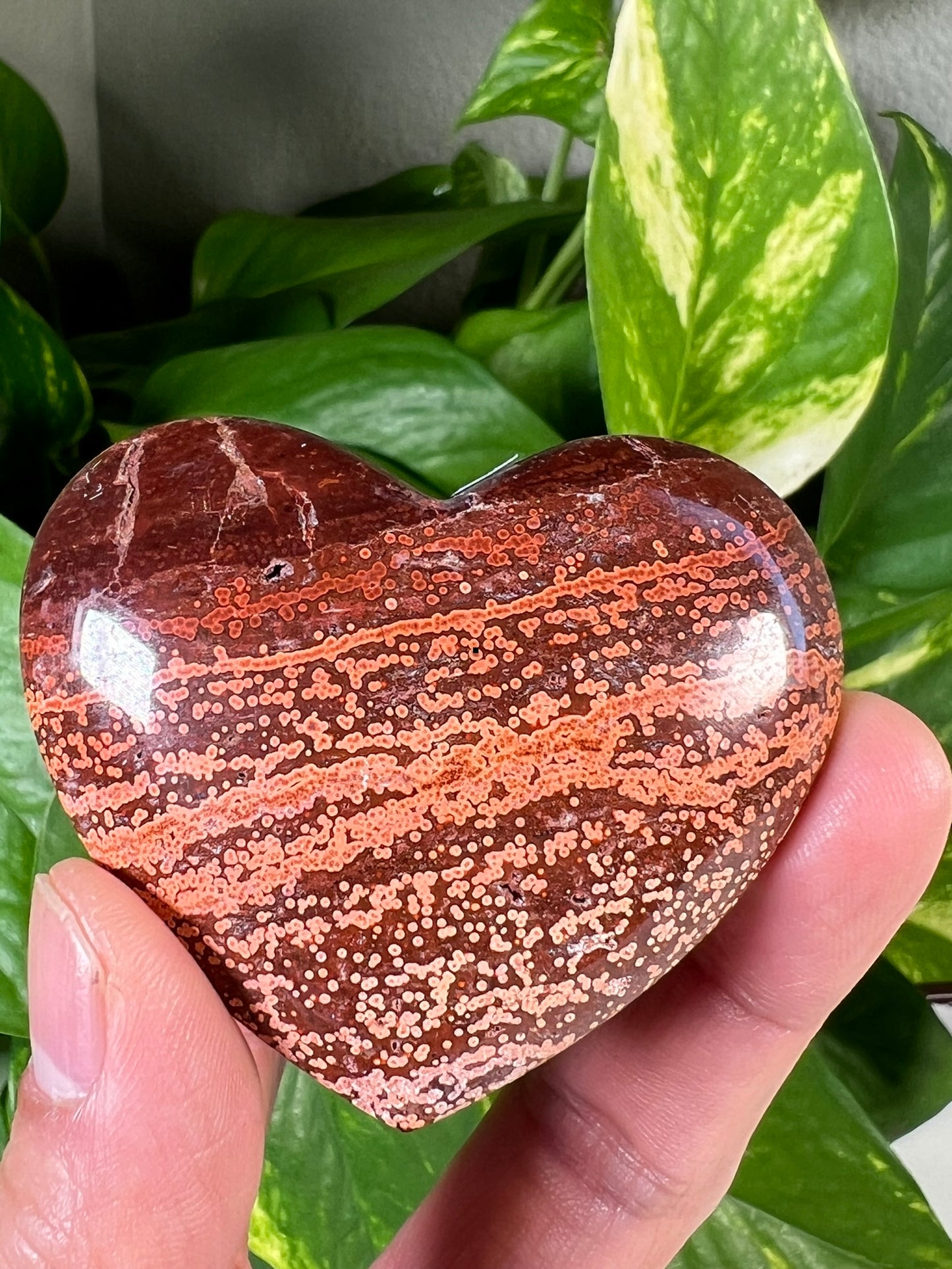 Ocean Jasper Hearts