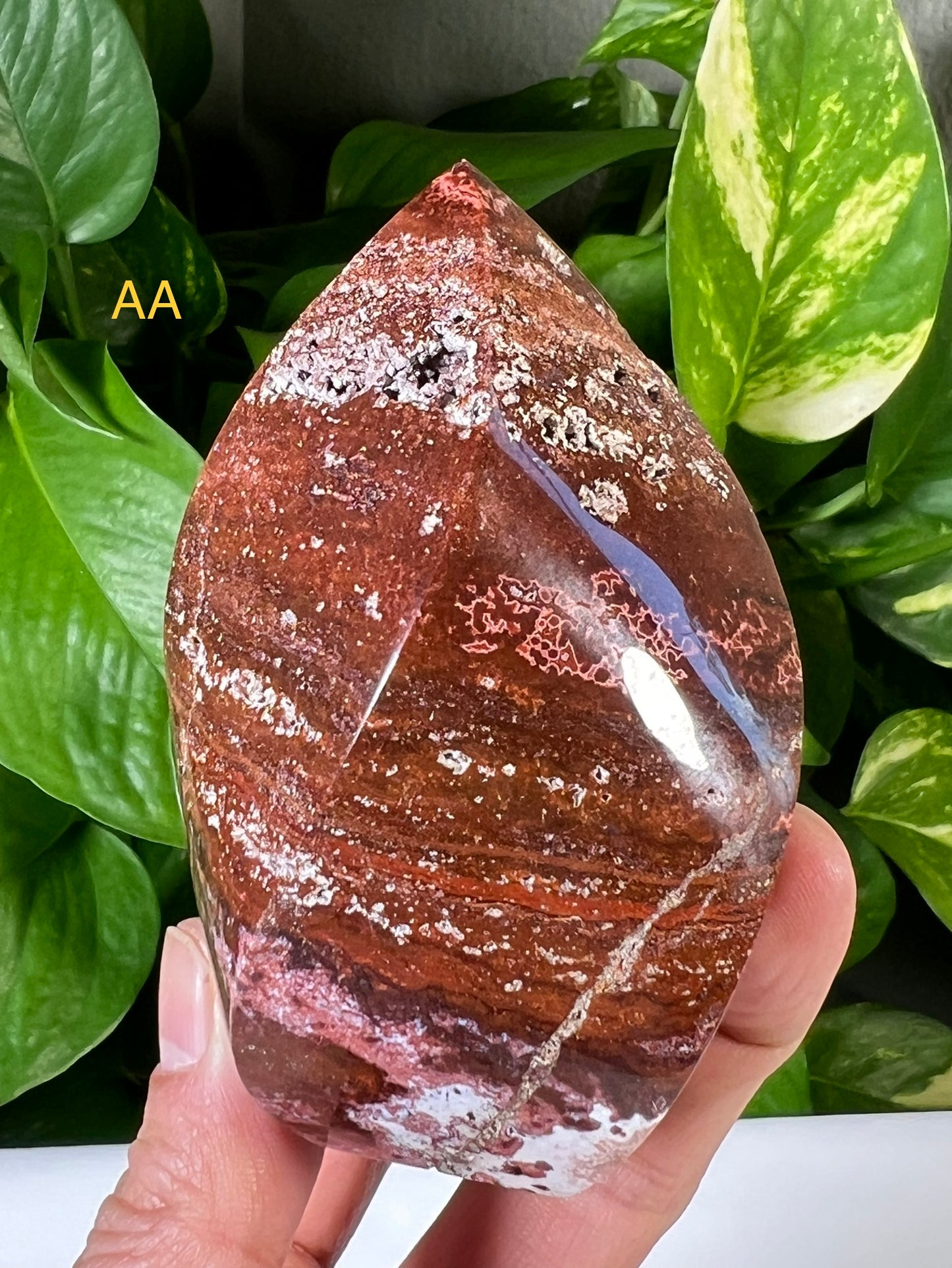 Red Ocean Jasper Flames