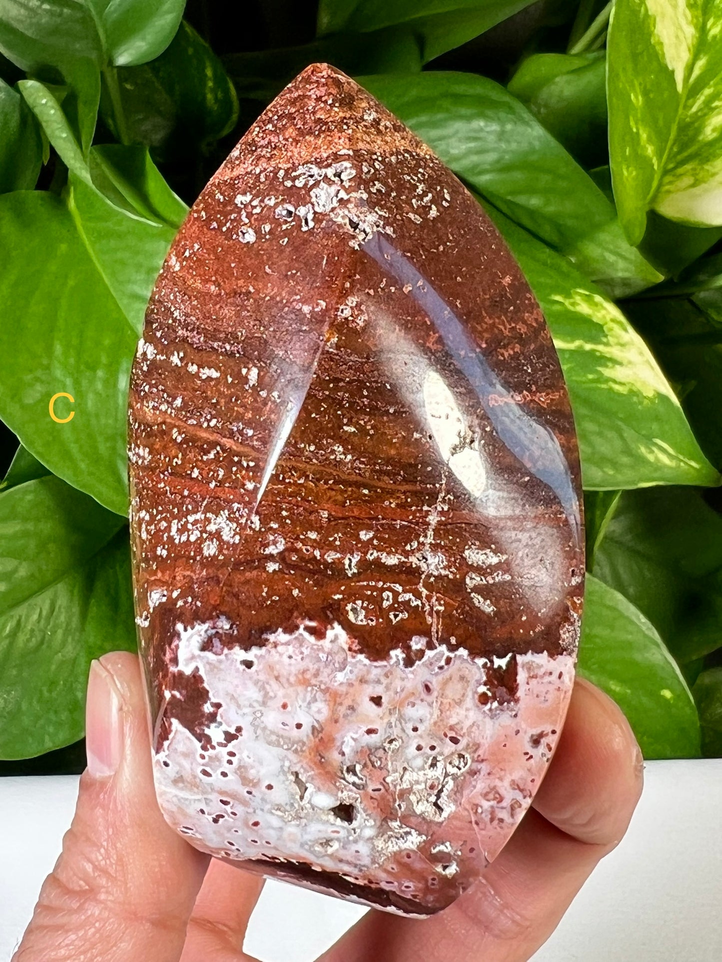 Red Ocean Jasper Flames