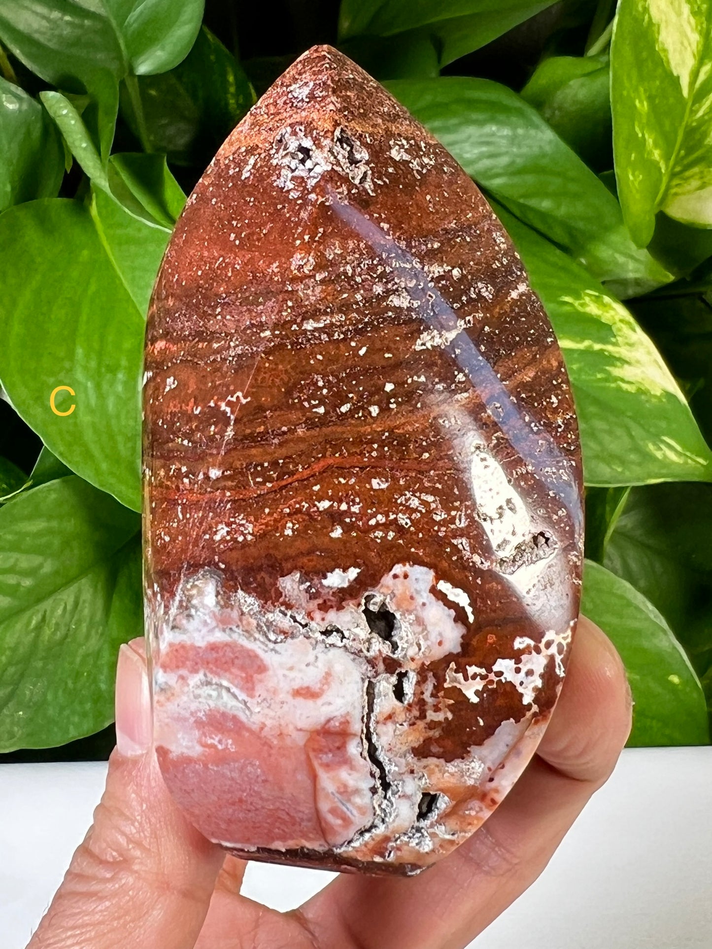 Red Ocean Jasper Flames