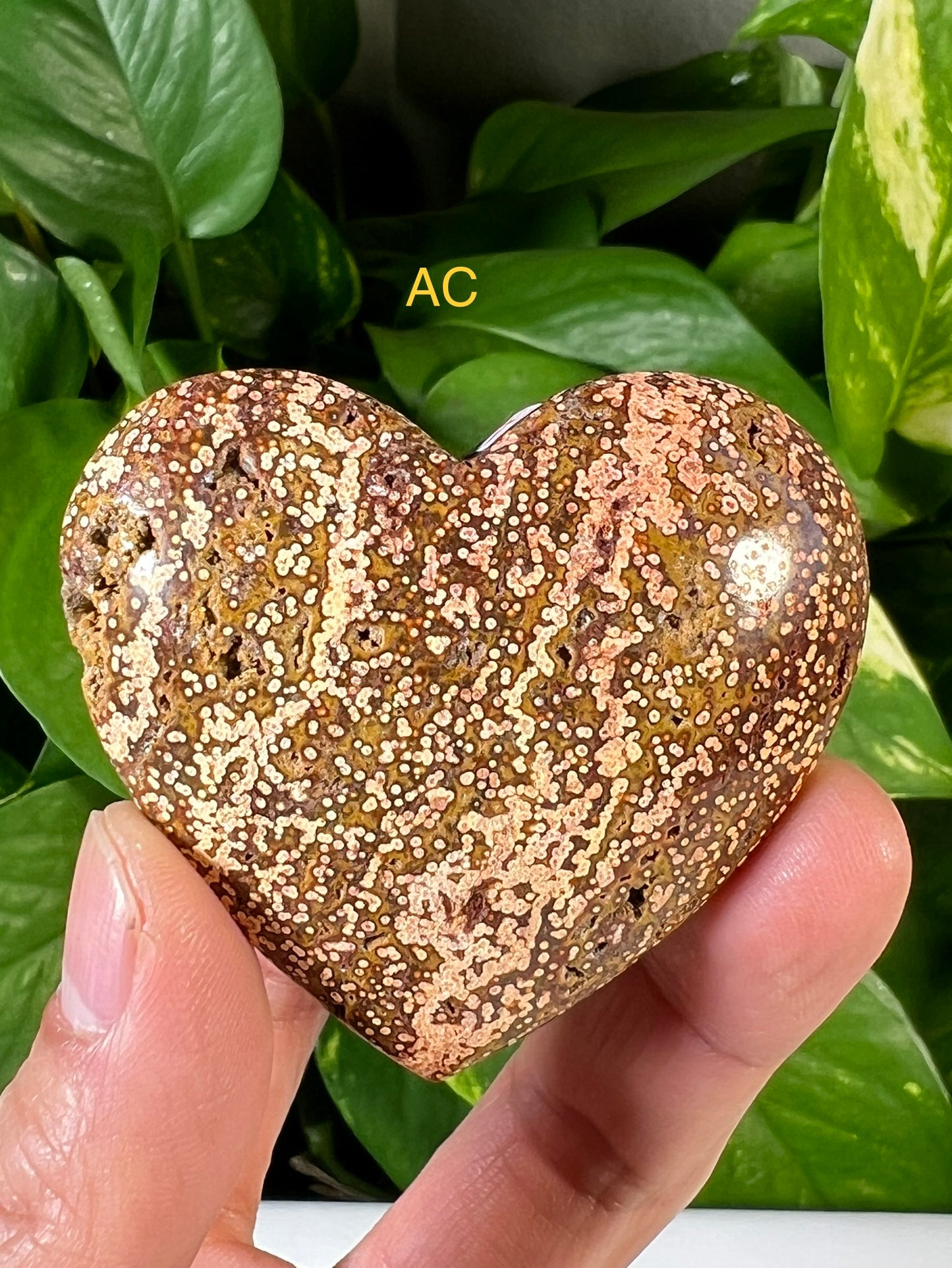 Ocean Jasper Hearts