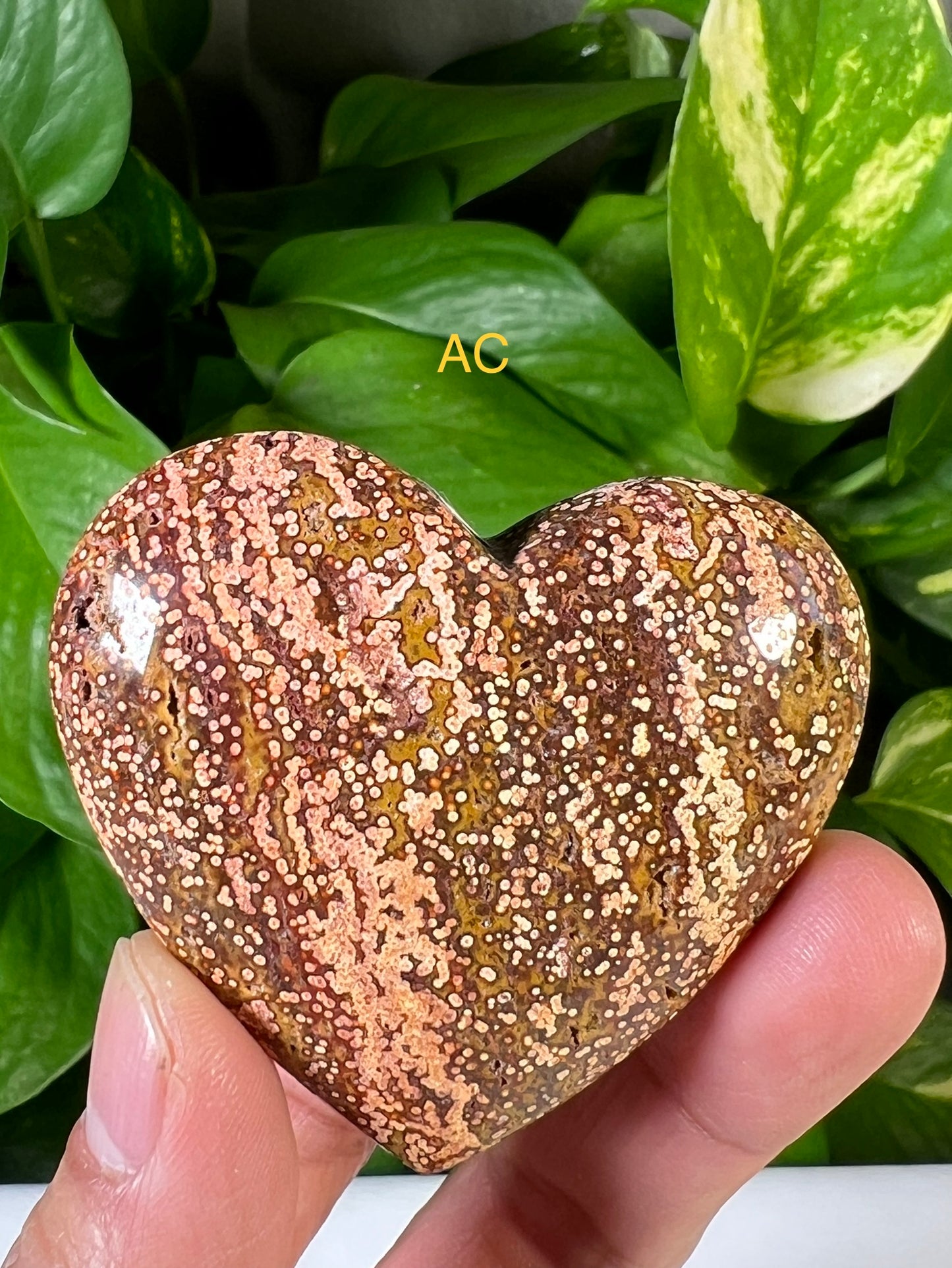 Ocean Jasper Hearts