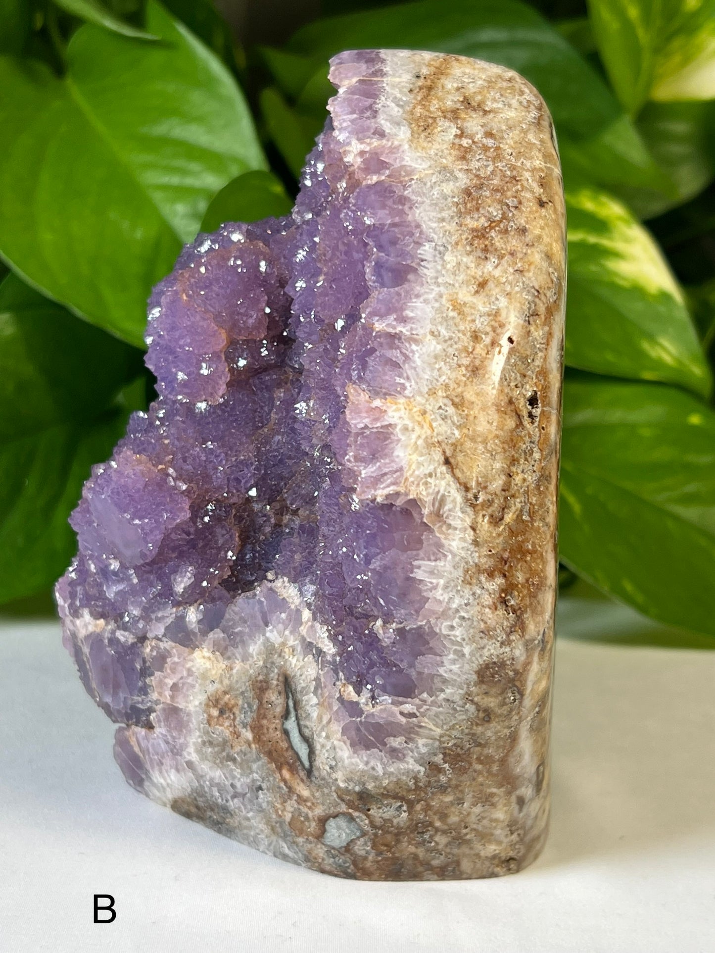 Purple Amethyst Free Form