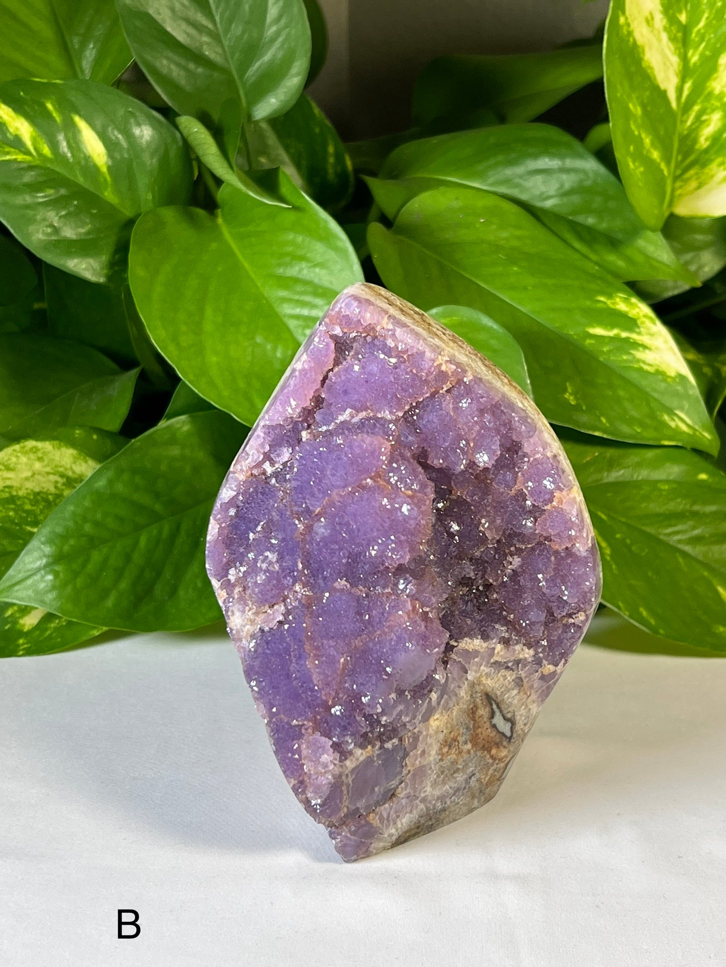 Purple Amethyst Free Form