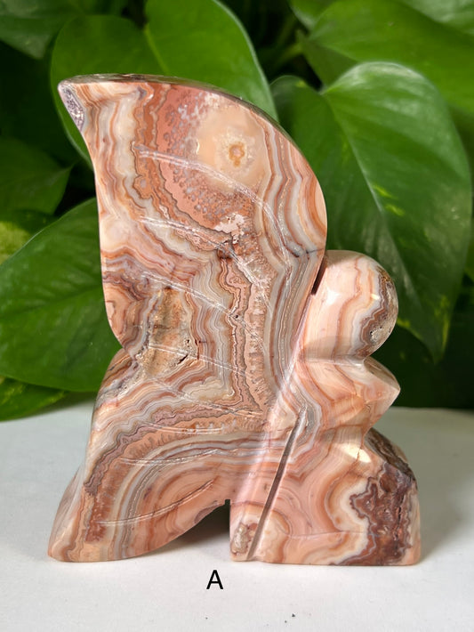 Large Crazy Lace Agate Fairies