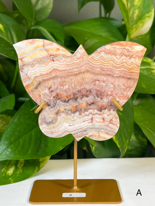 Crazy Lace Agate Butterflies