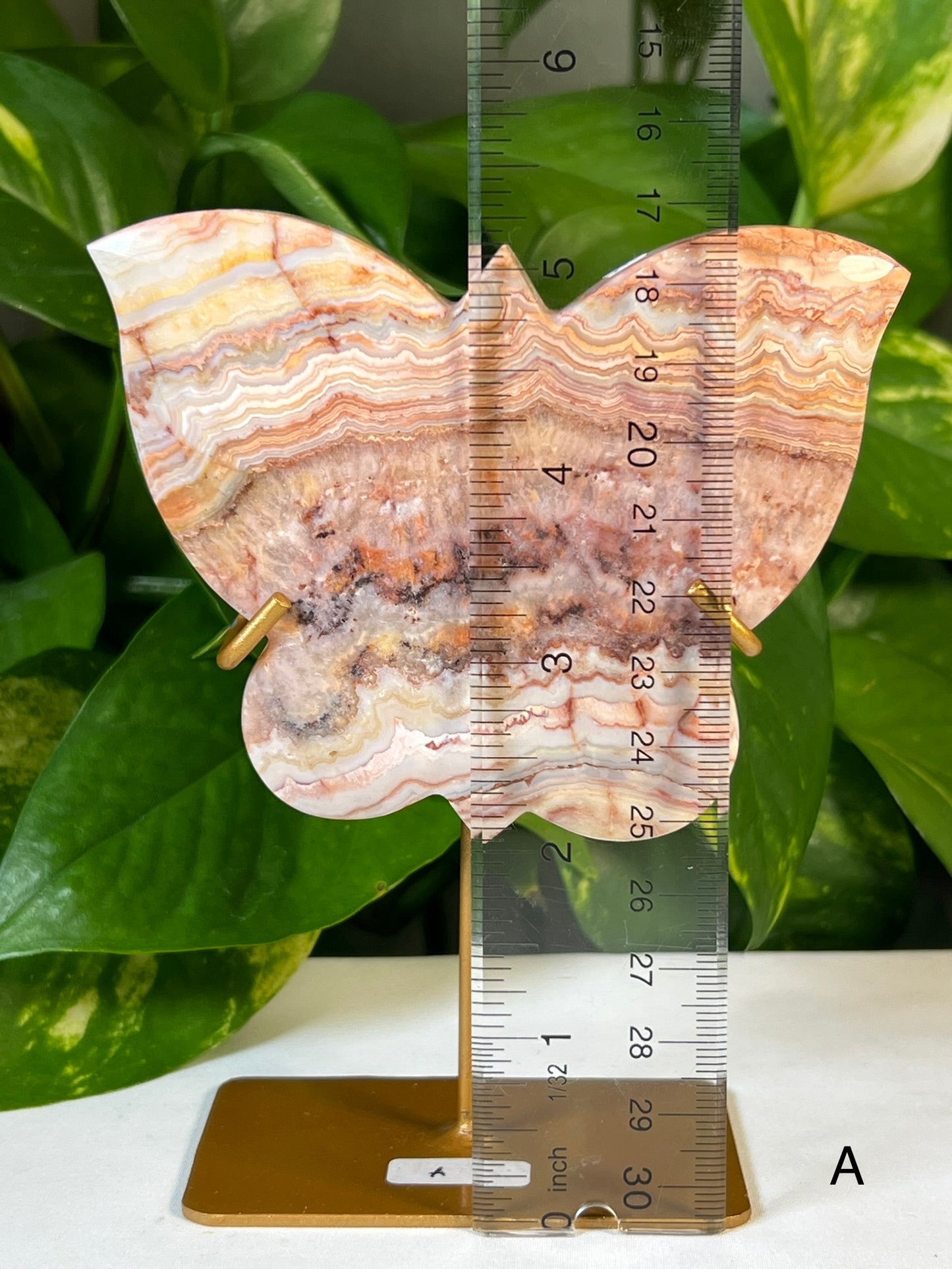 Crazy Lace Agate Butterflies