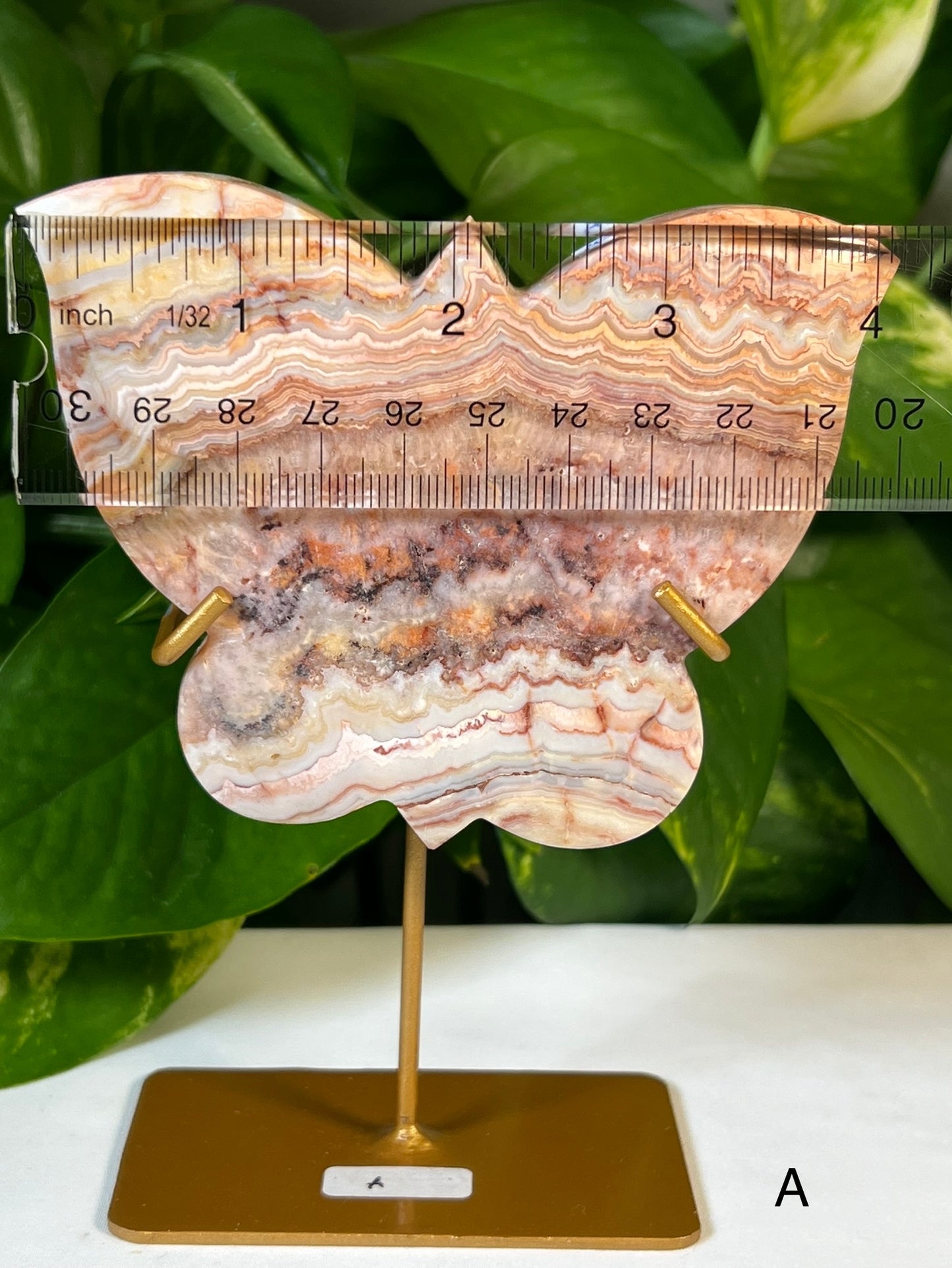 Crazy Lace Agate Butterflies