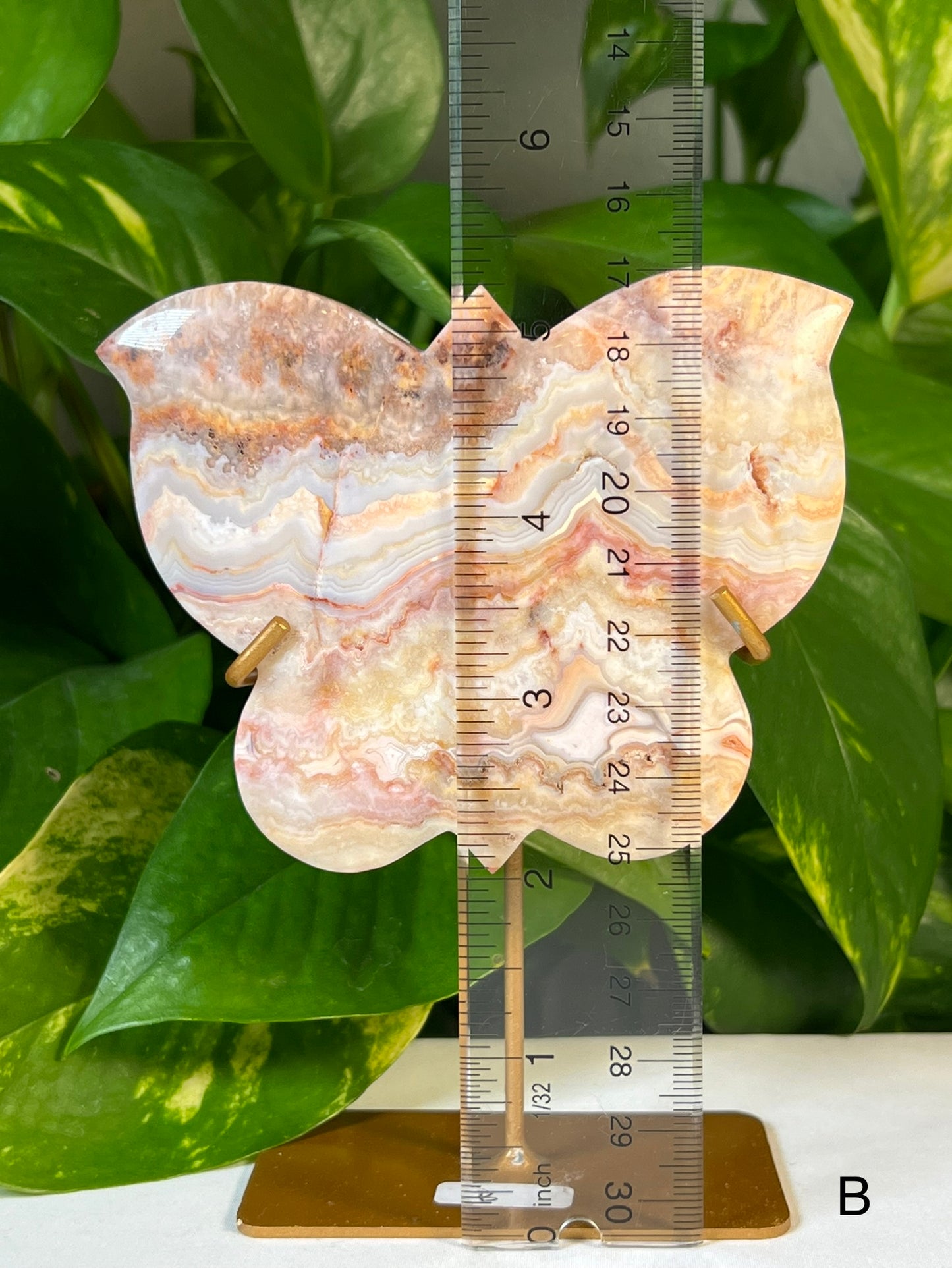 Crazy Lace Agate Butterflies