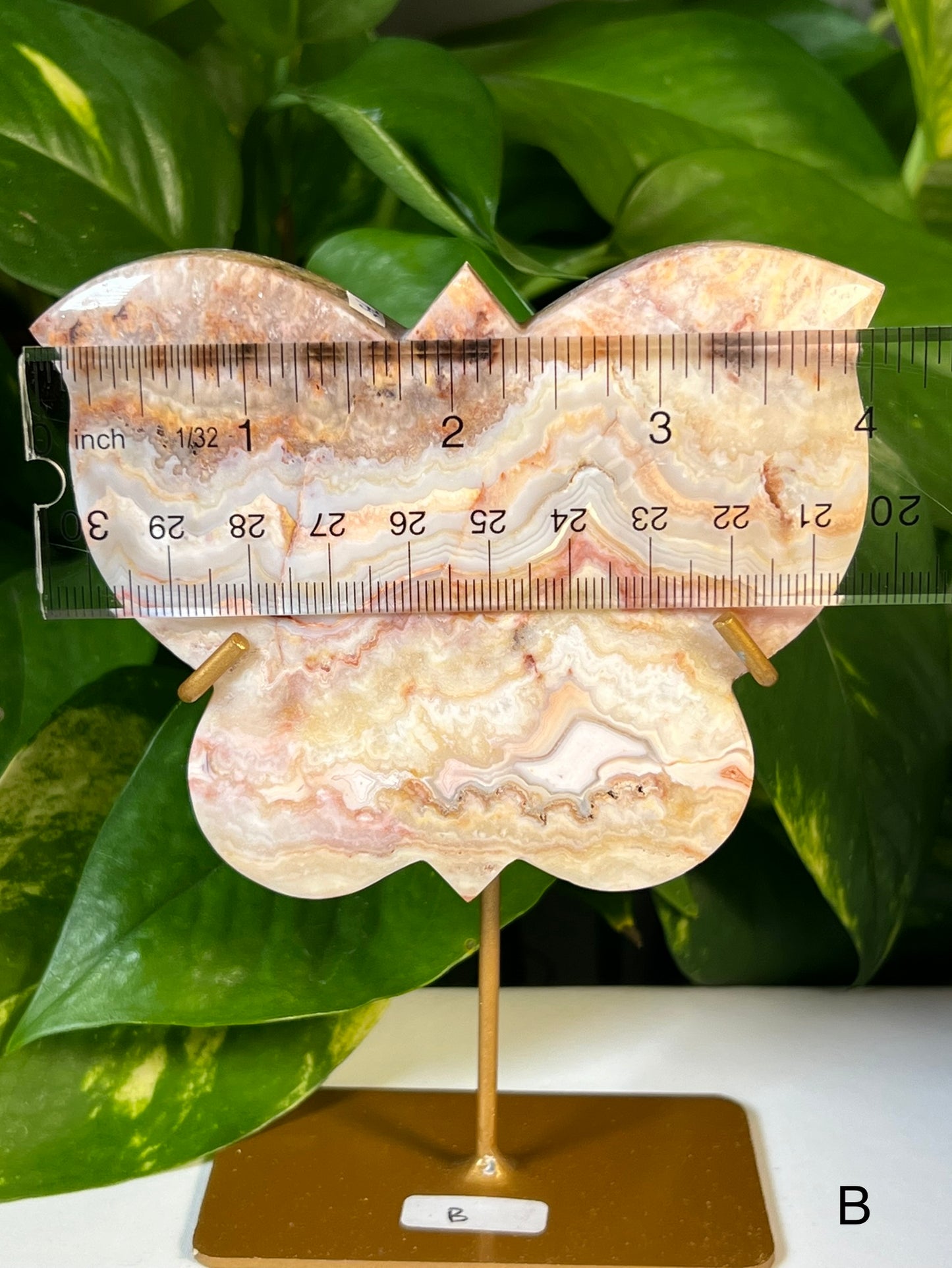 Crazy Lace Agate Butterflies