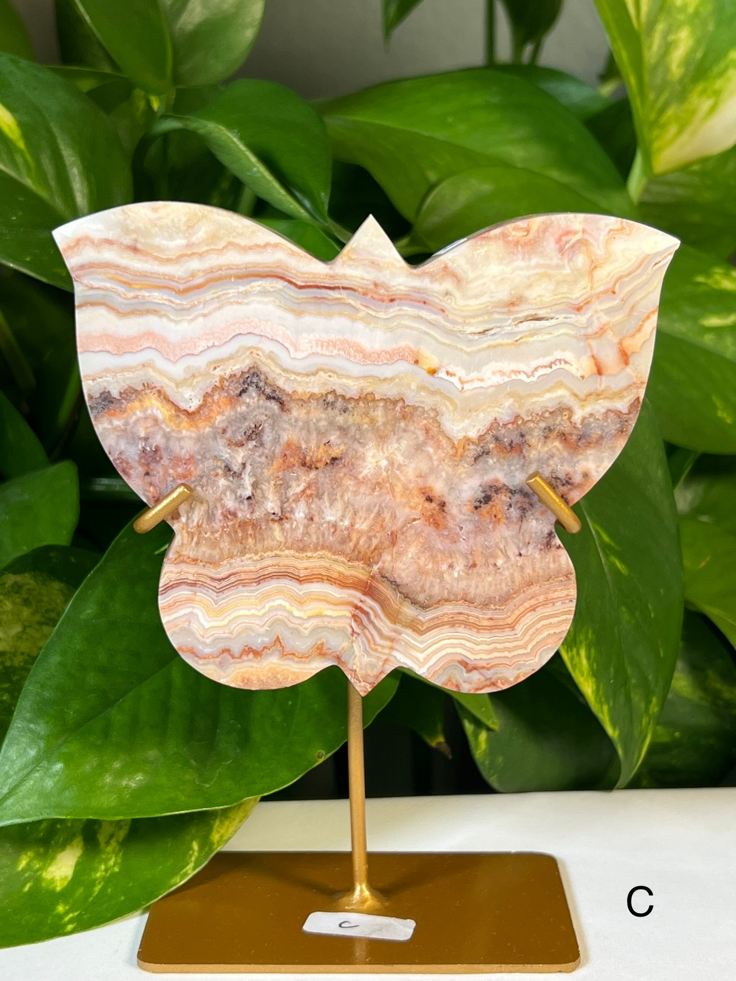 Crazy Lace Agate Butterflies