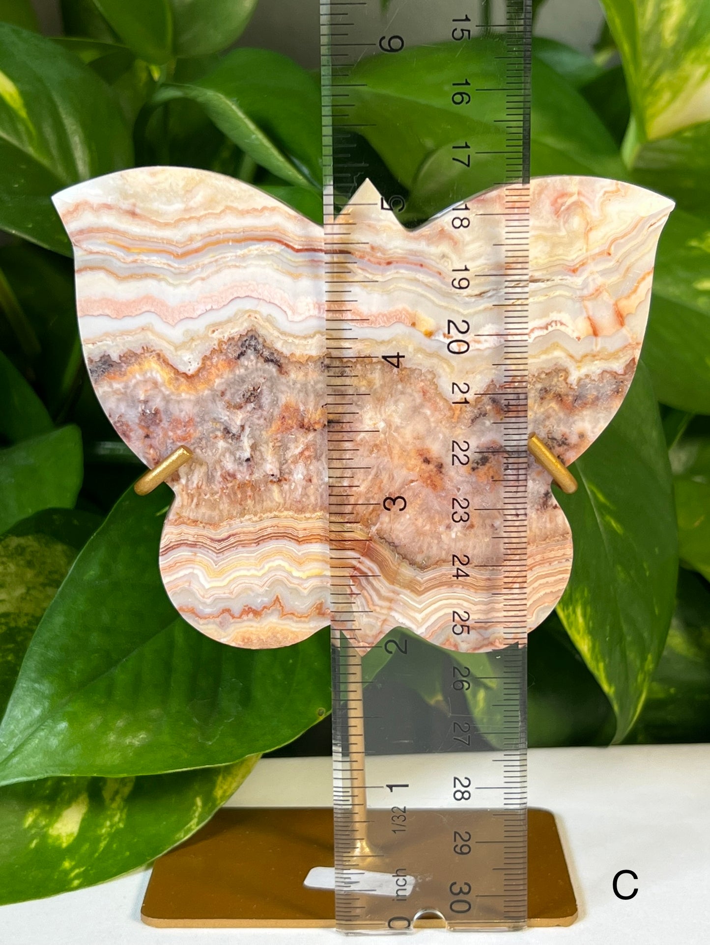 Crazy Lace Agate Butterflies