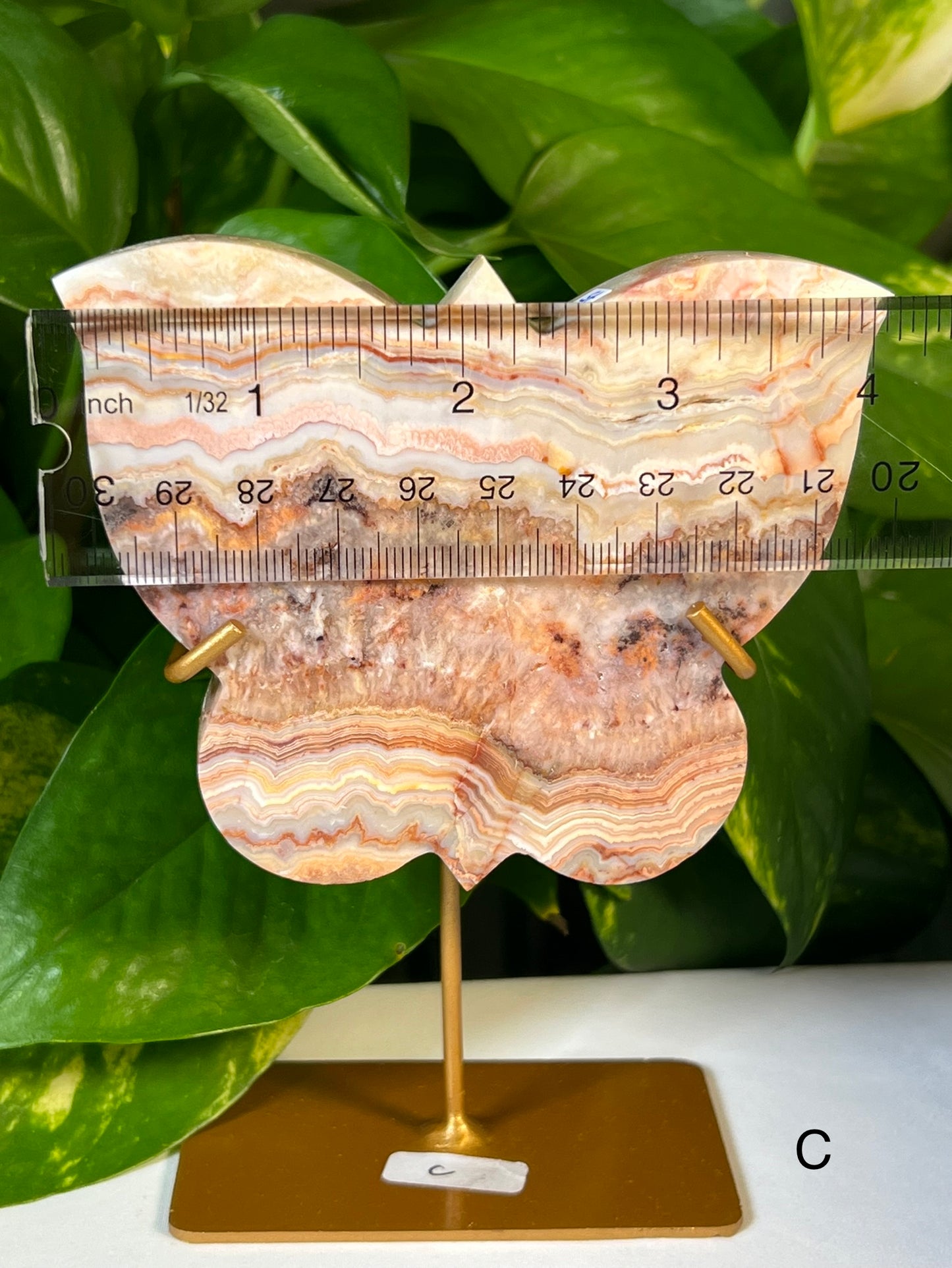 Crazy Lace Agate Butterflies