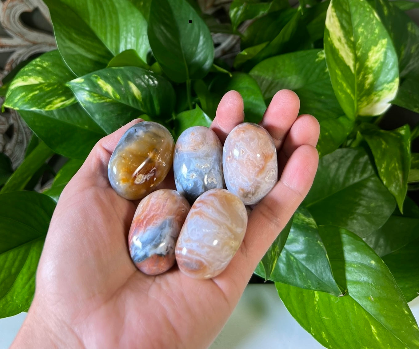 Rainbow Plume Agate Tumbles