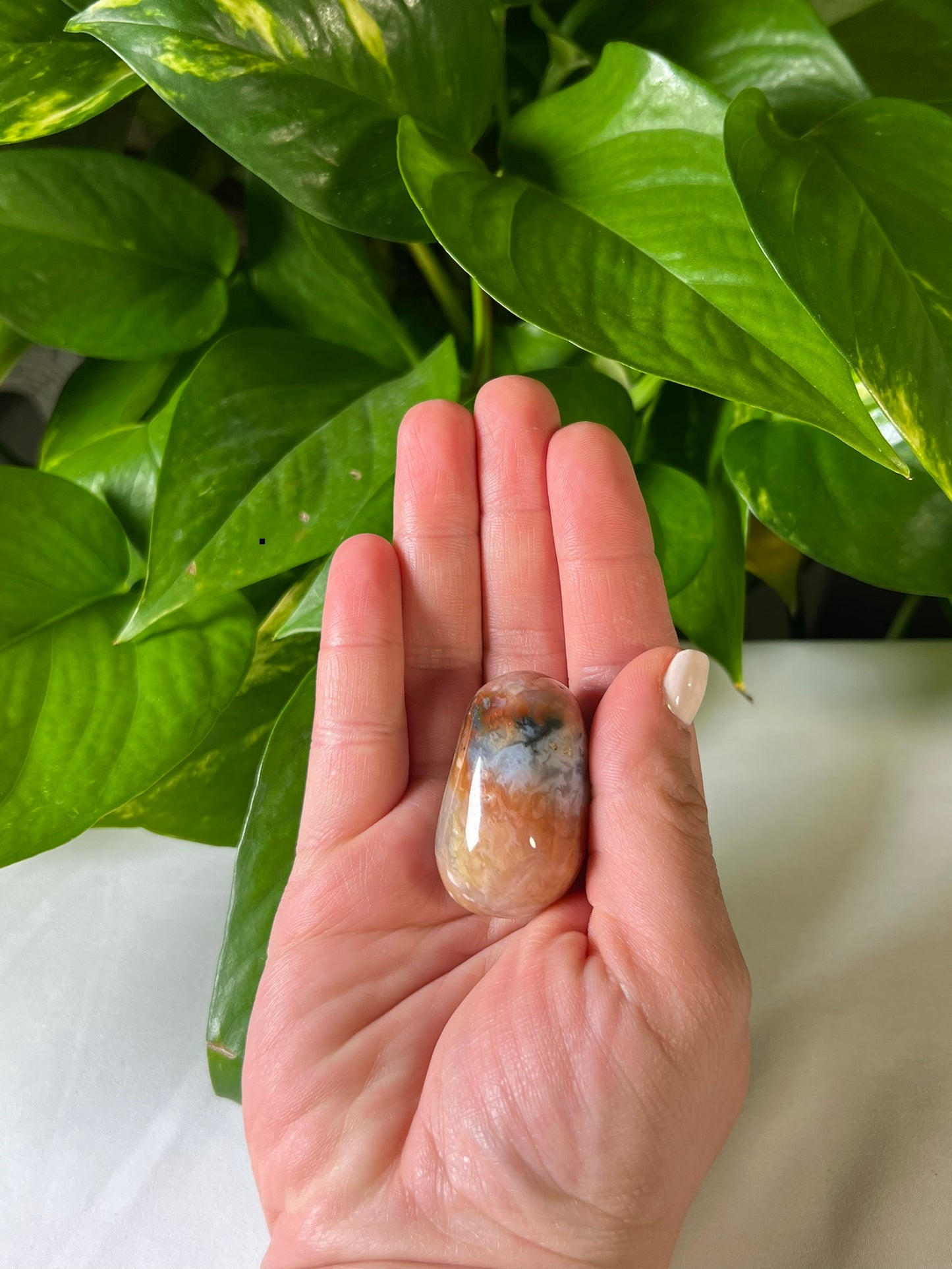 Rainbow Plume Agate Tumbles