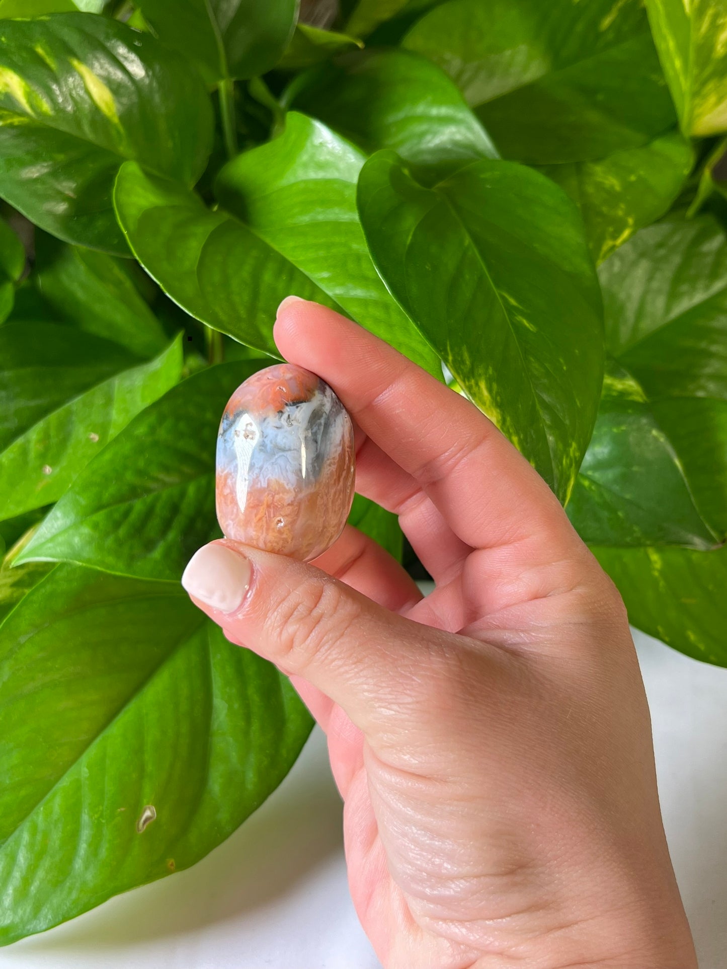 Rainbow Plume Agate Tumbles