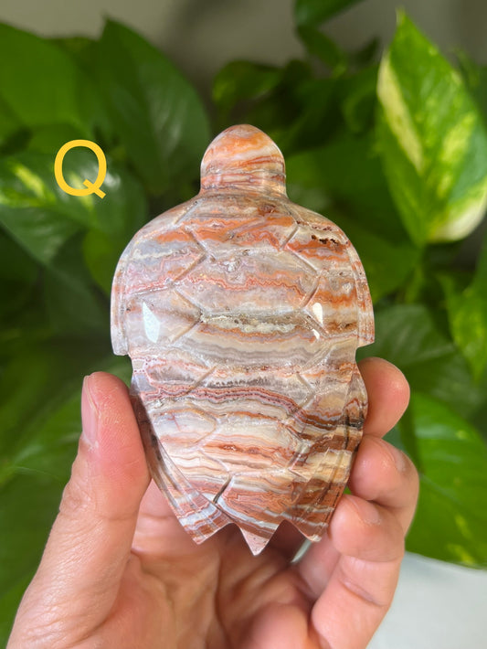 Crazy Lace Agate Carving Turtles