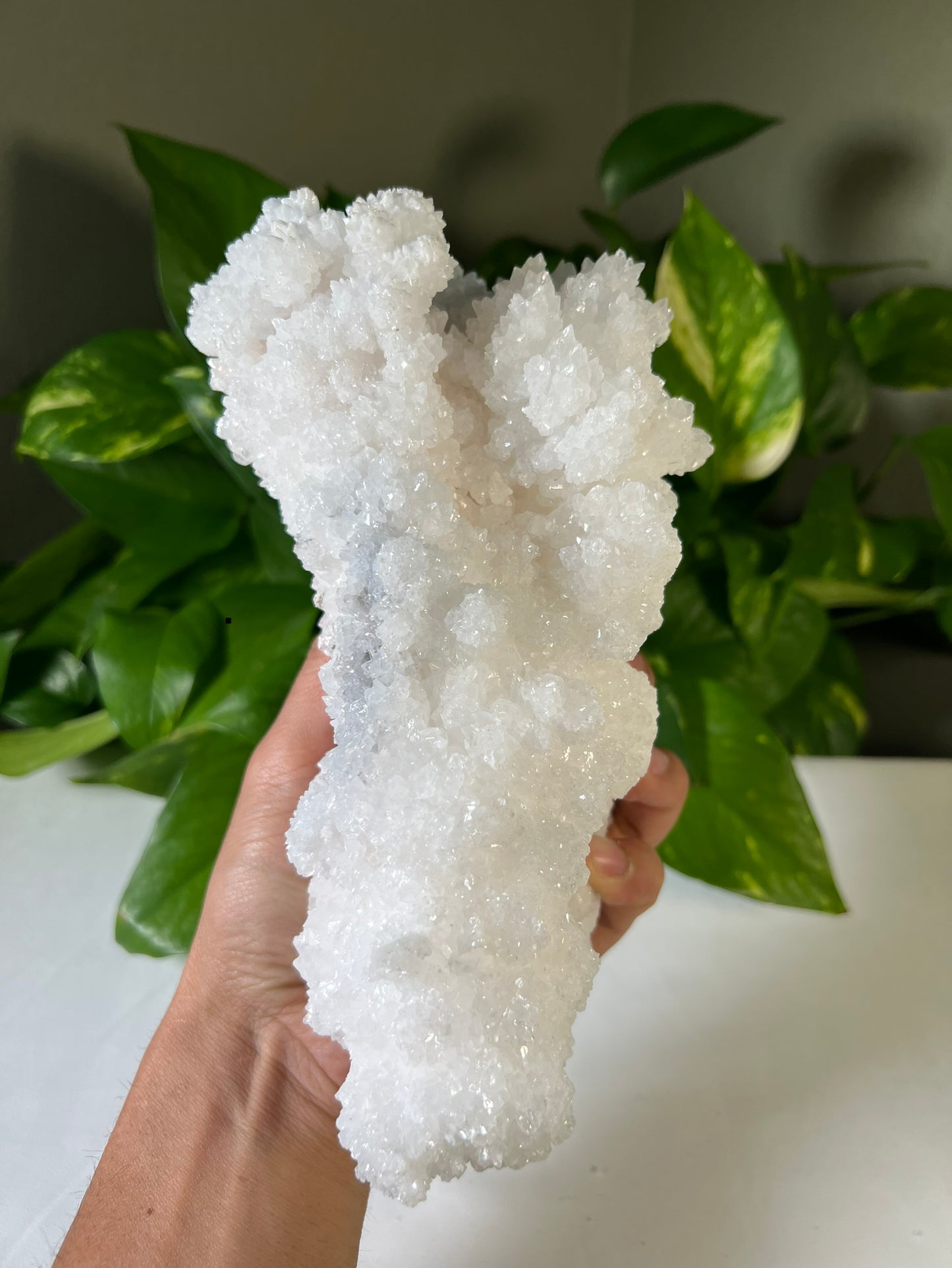 Mexican Aragonite Specimen