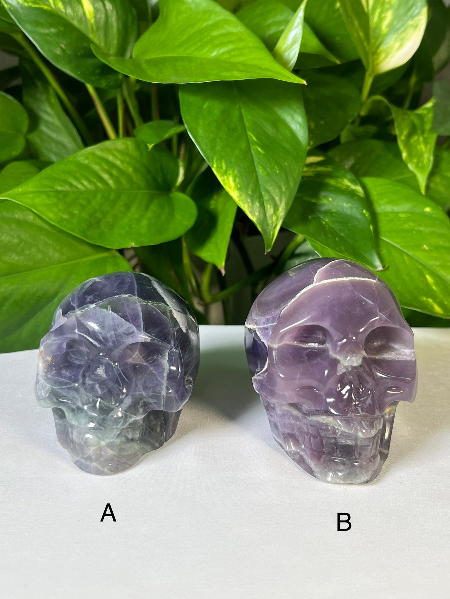 Mexican Fluorite Skulls