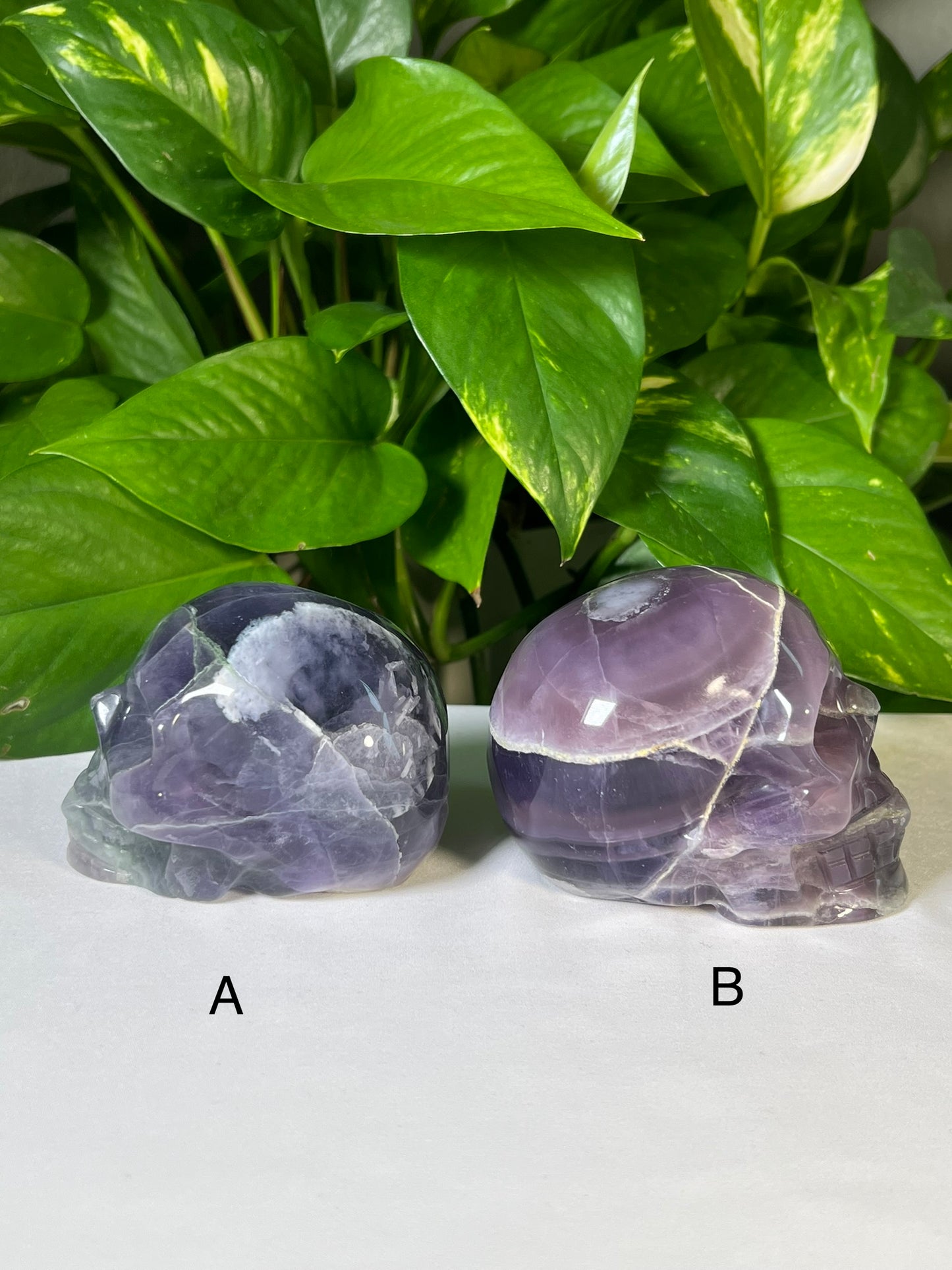 Mexican Fluorite Skulls