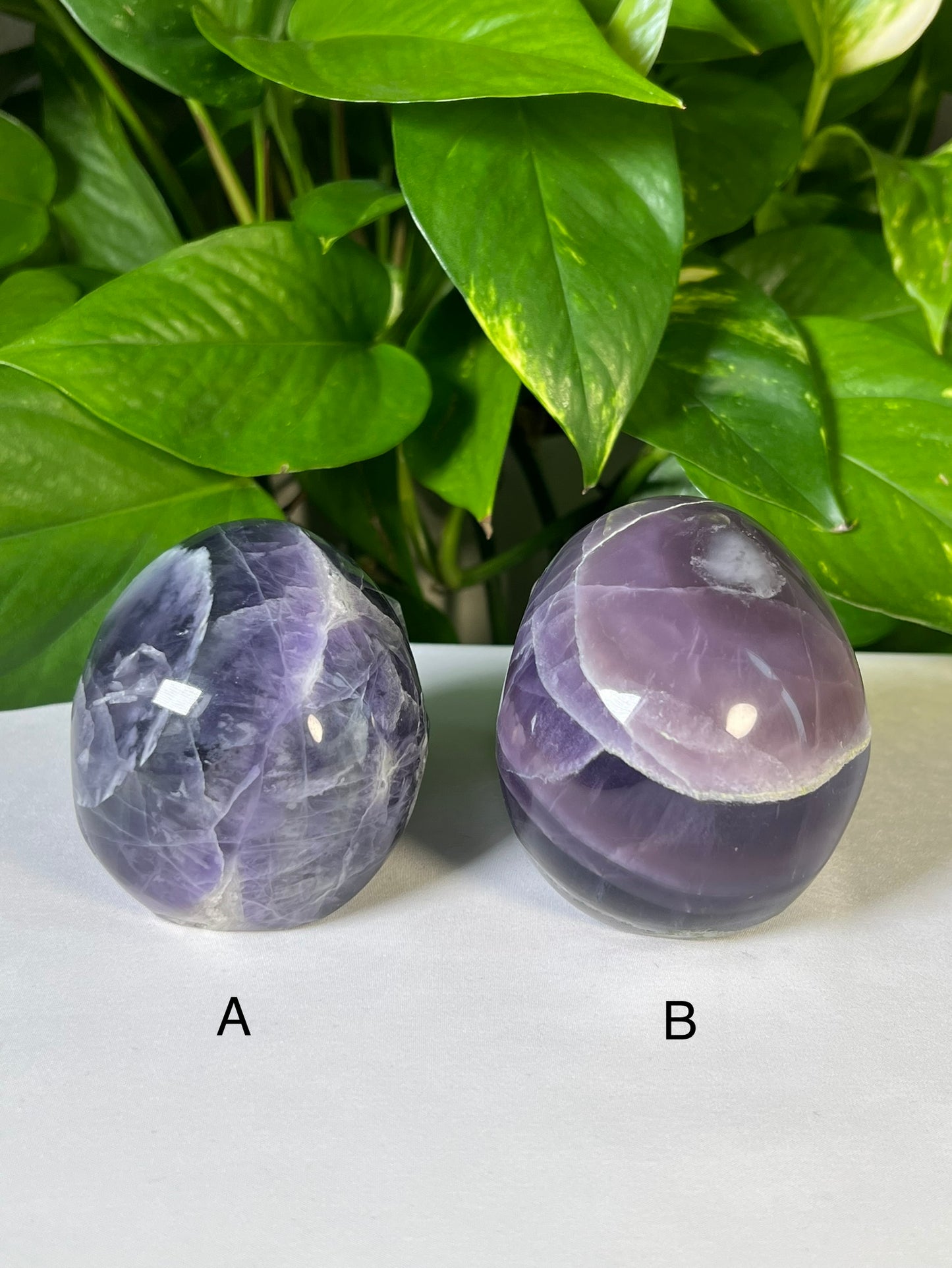 Mexican Fluorite Skulls