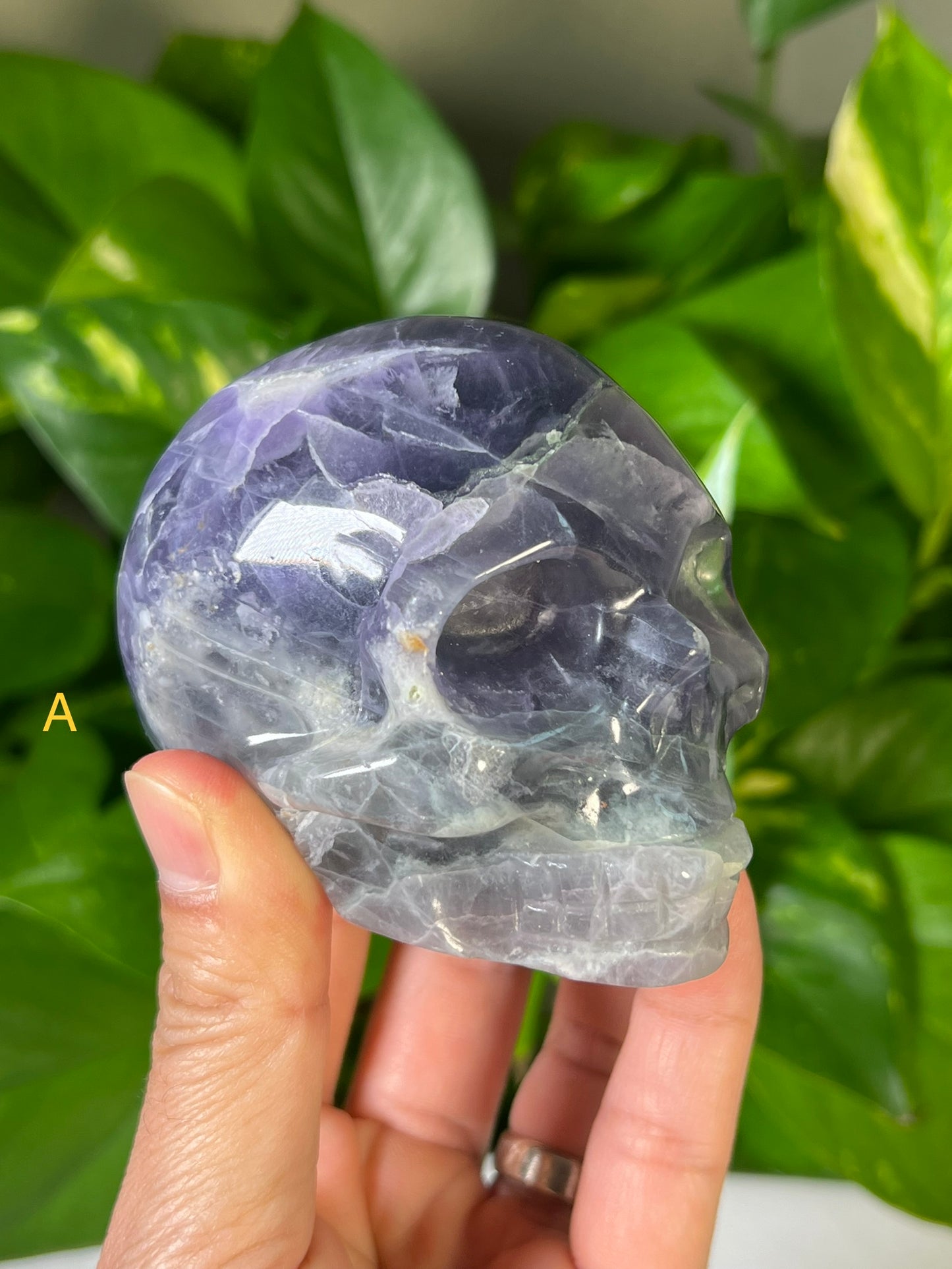 Mexican Fluorite Skulls