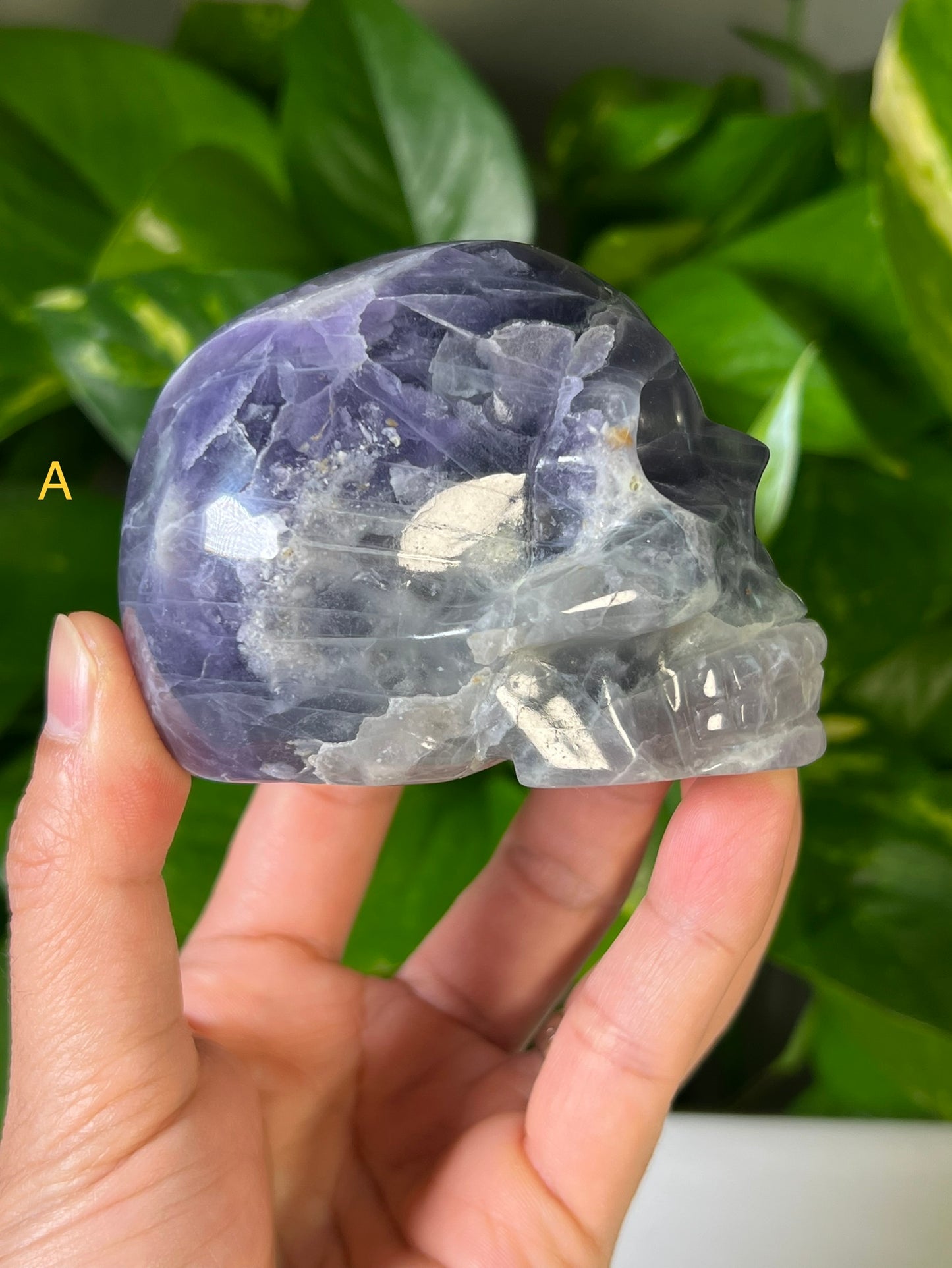 Mexican Fluorite Skulls