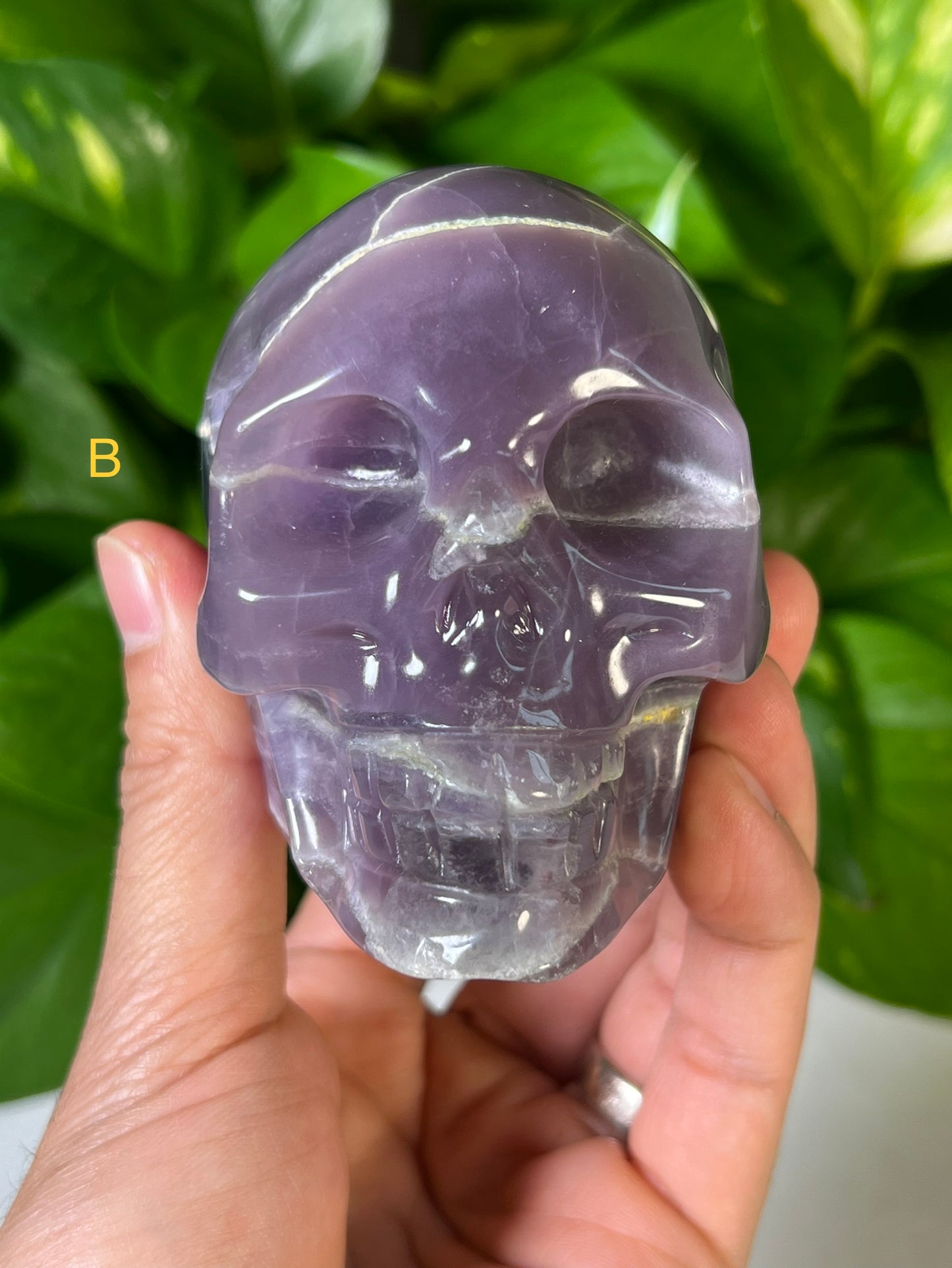 Mexican Fluorite Skulls