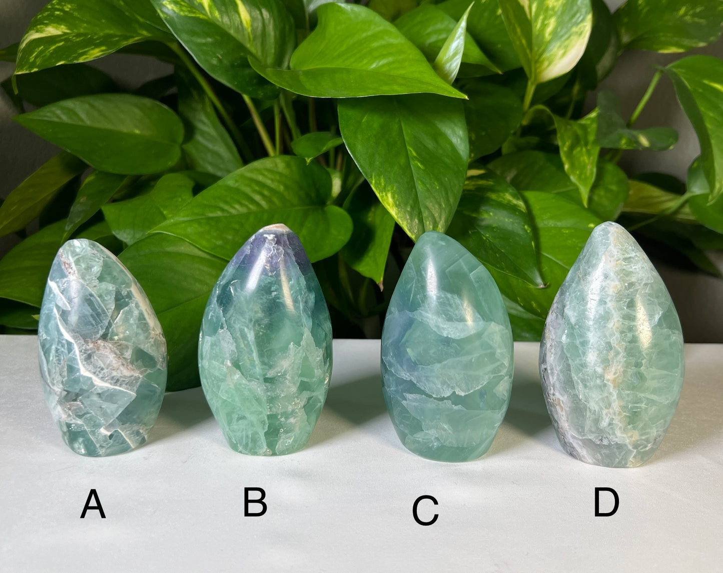 Mexican Fluorite Freeforms