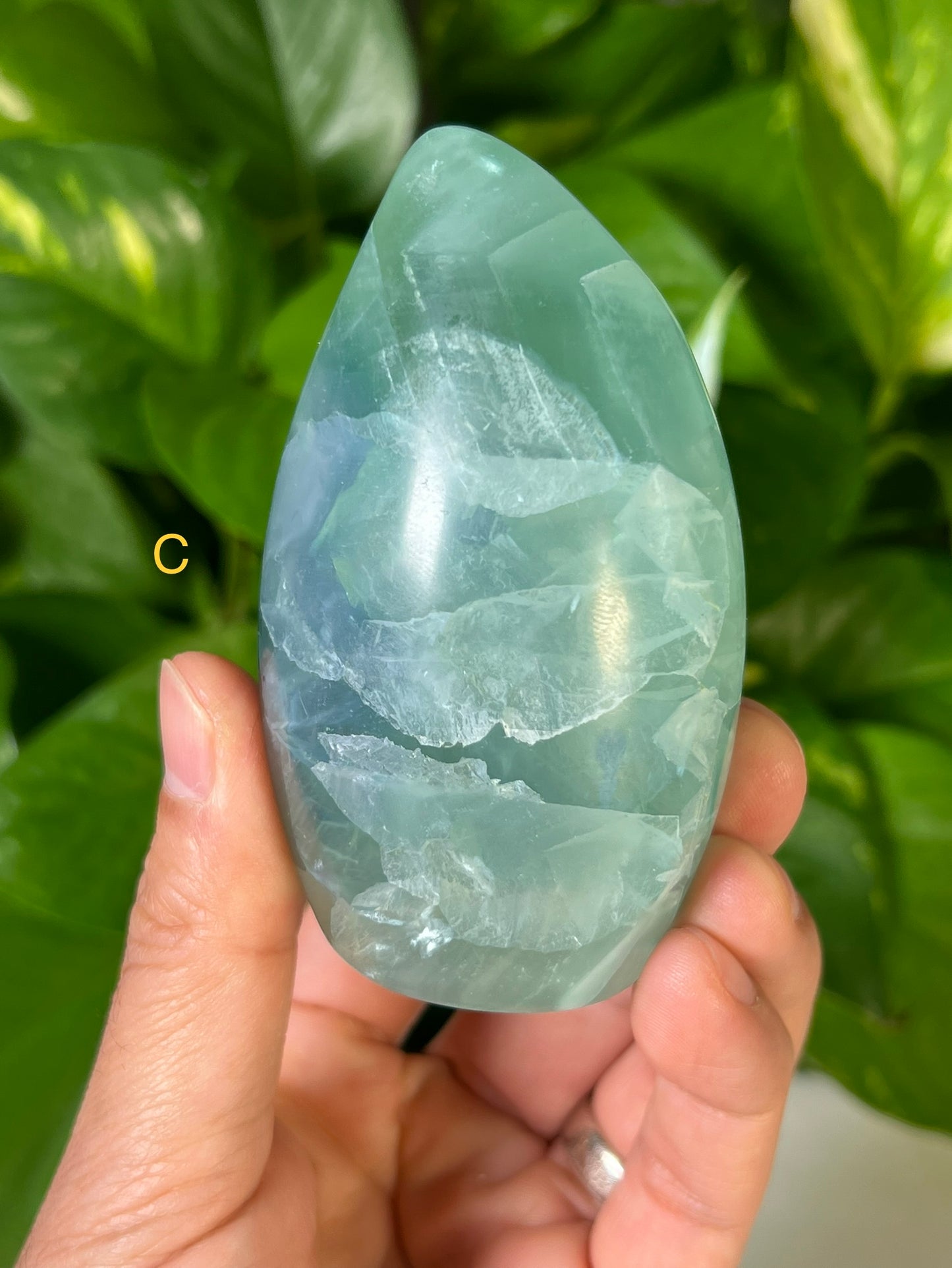 Mexican Fluorite Freeforms